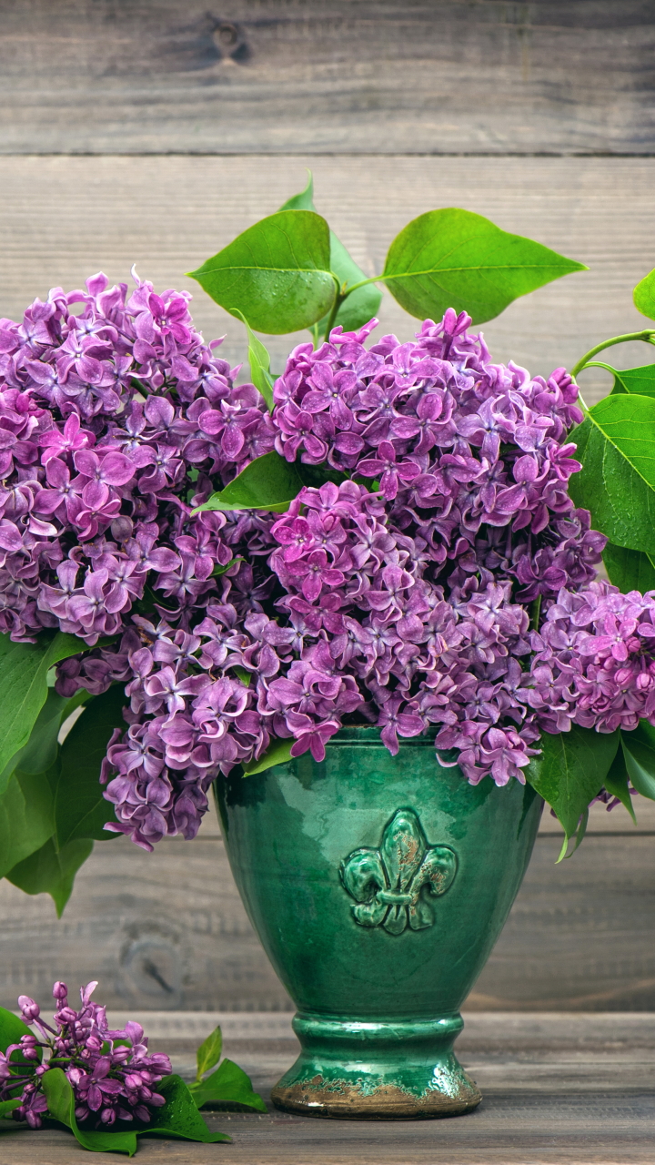 Download mobile wallpaper Lilac, Still Life, Flower, Vase, Purple Flower, Man Made for free.