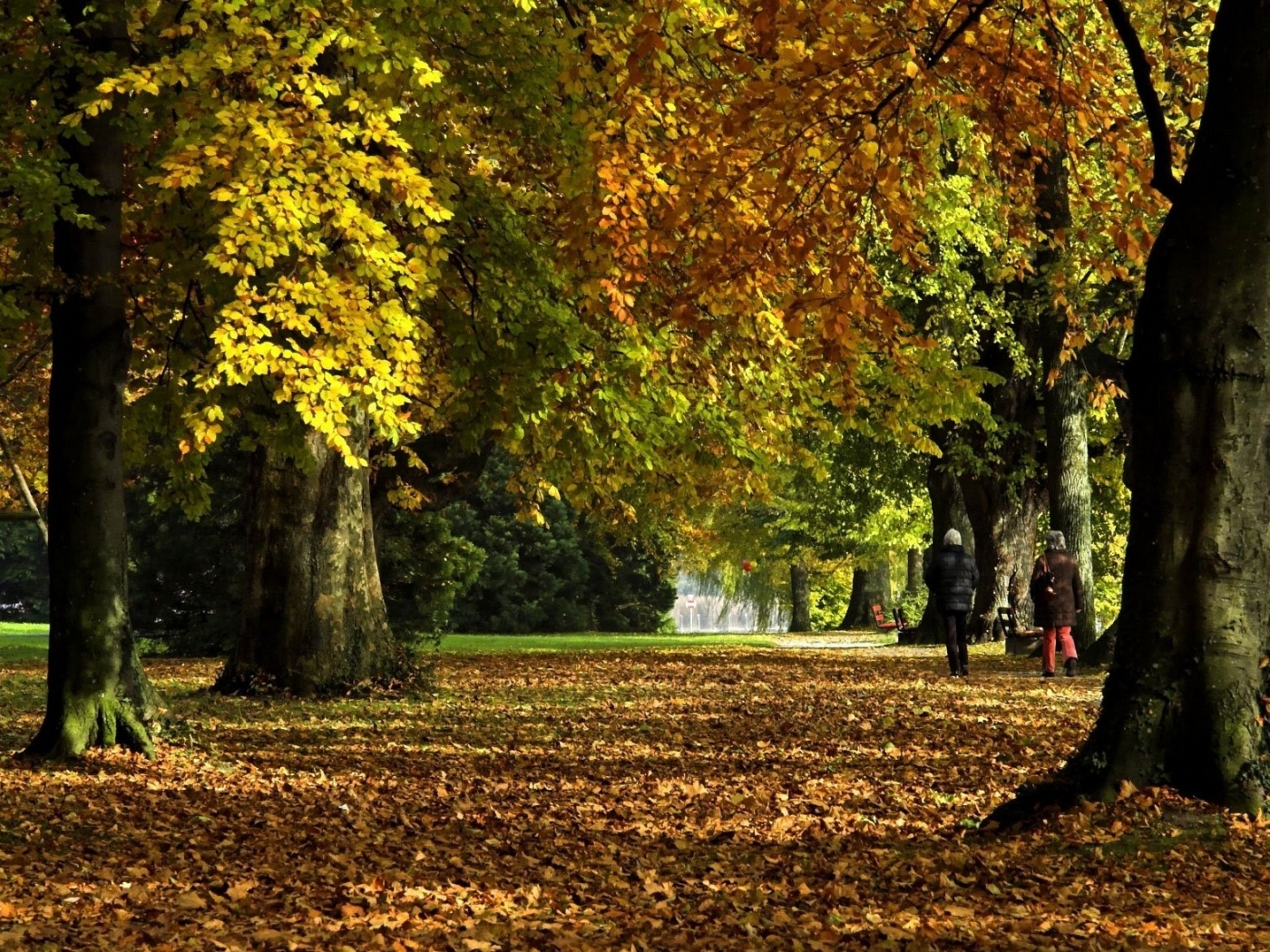 1200壁紙のダウンロード風景, 木, 秋, 葉, パークス-スクリーンセーバーと写真を無料で