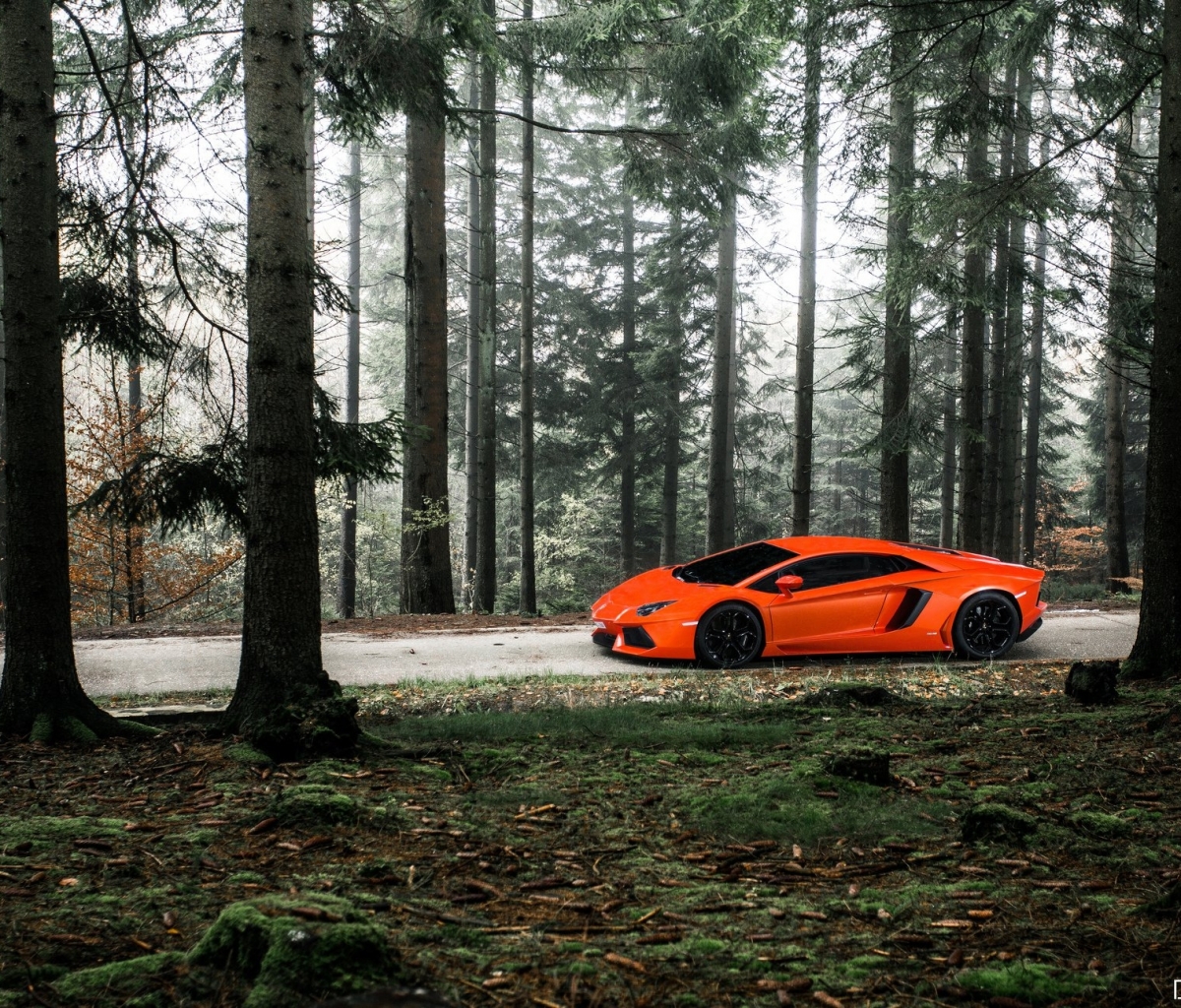 Download mobile wallpaper Lamborghini, Lamborghini Aventador, Vehicles for free.