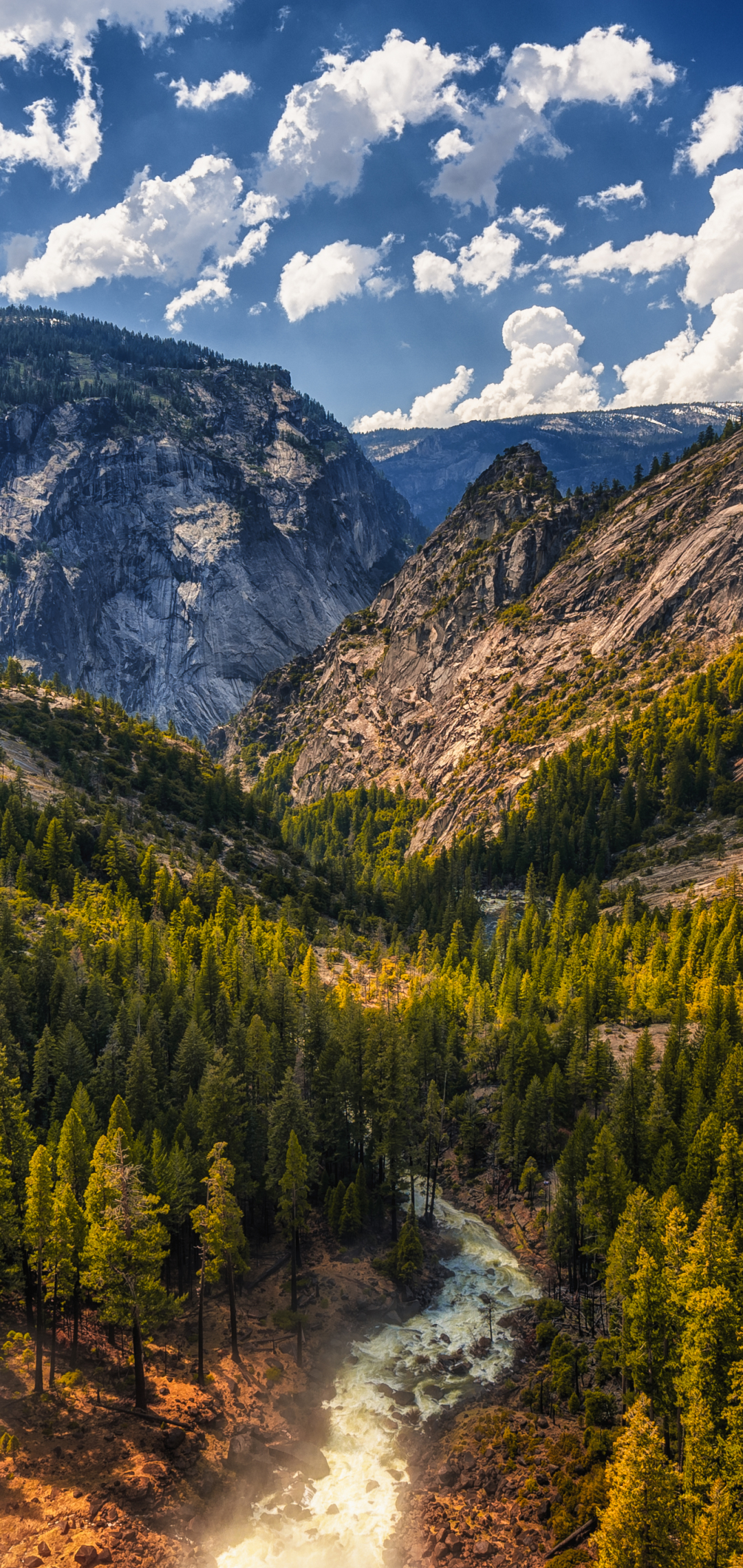 Baixar papel de parede para celular de Rio, Montanha, Floresta, Árvore, Terra, Terra/natureza gratuito.