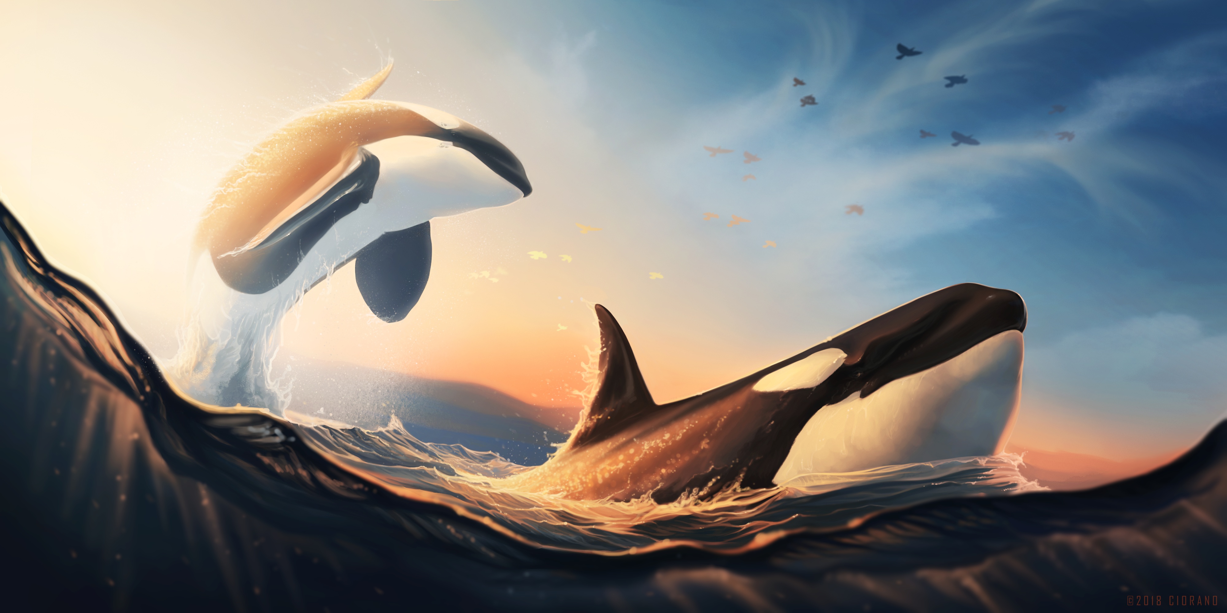 944031 descargar imagen orca, animales, vida marina: fondos de pantalla y protectores de pantalla gratis