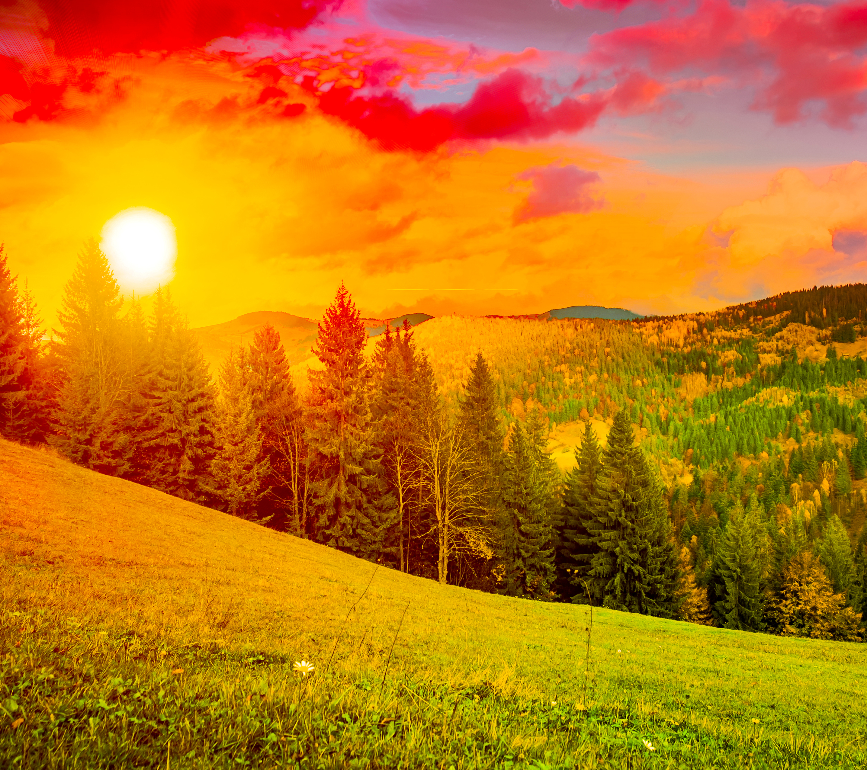 Free download wallpaper Sunset, Mountain, Forest, Tree, Earth on your PC desktop