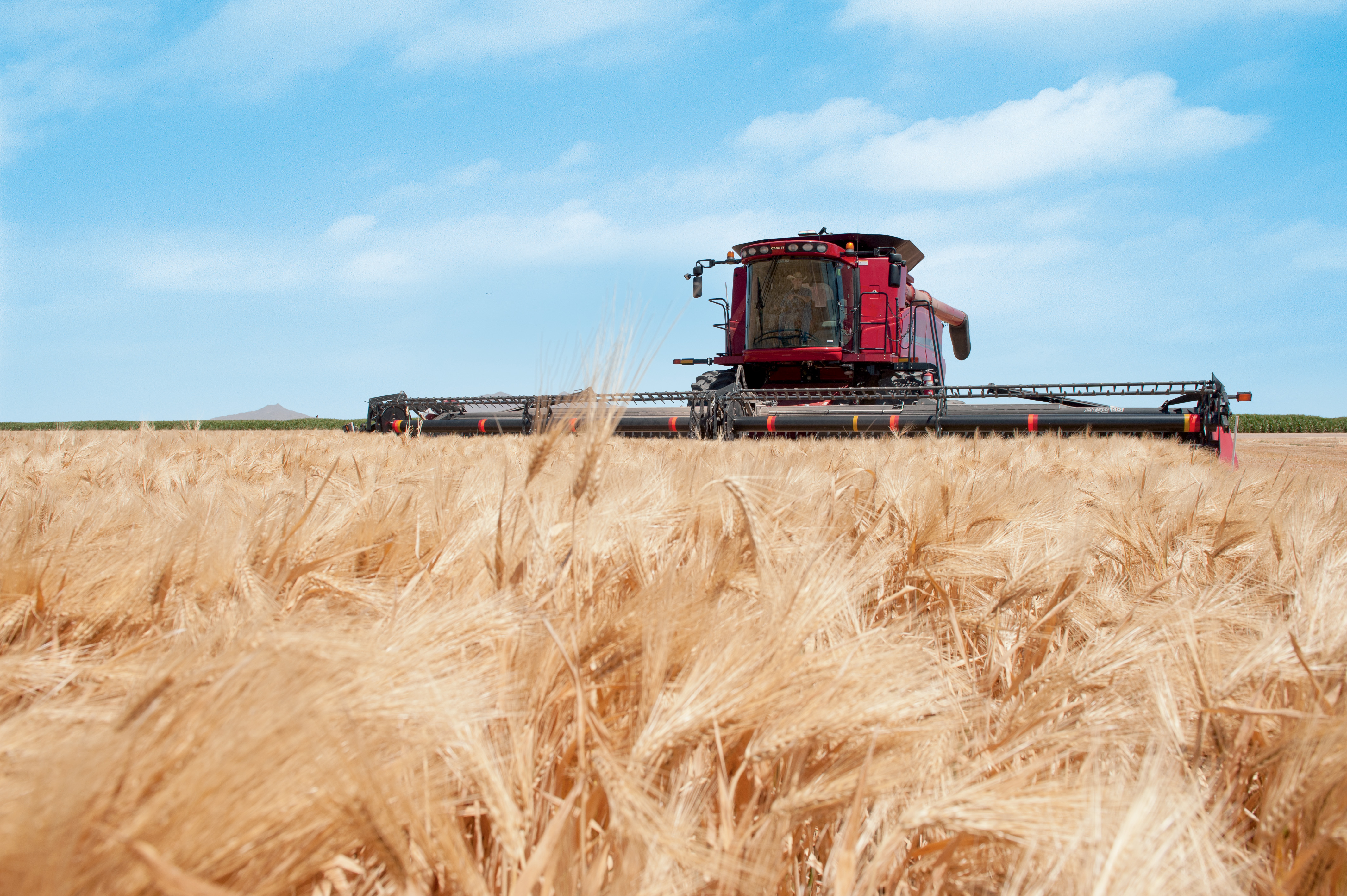 Télécharger des fonds d'écran Abatteuse À Flux Axial Case Ih HD