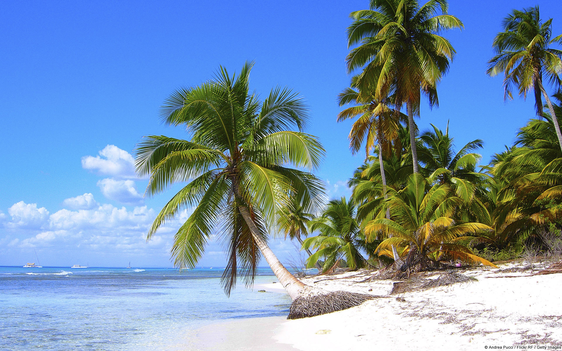 Laden Sie das Palms, Landschaft, Sea, Strand-Bild kostenlos auf Ihren PC-Desktop herunter