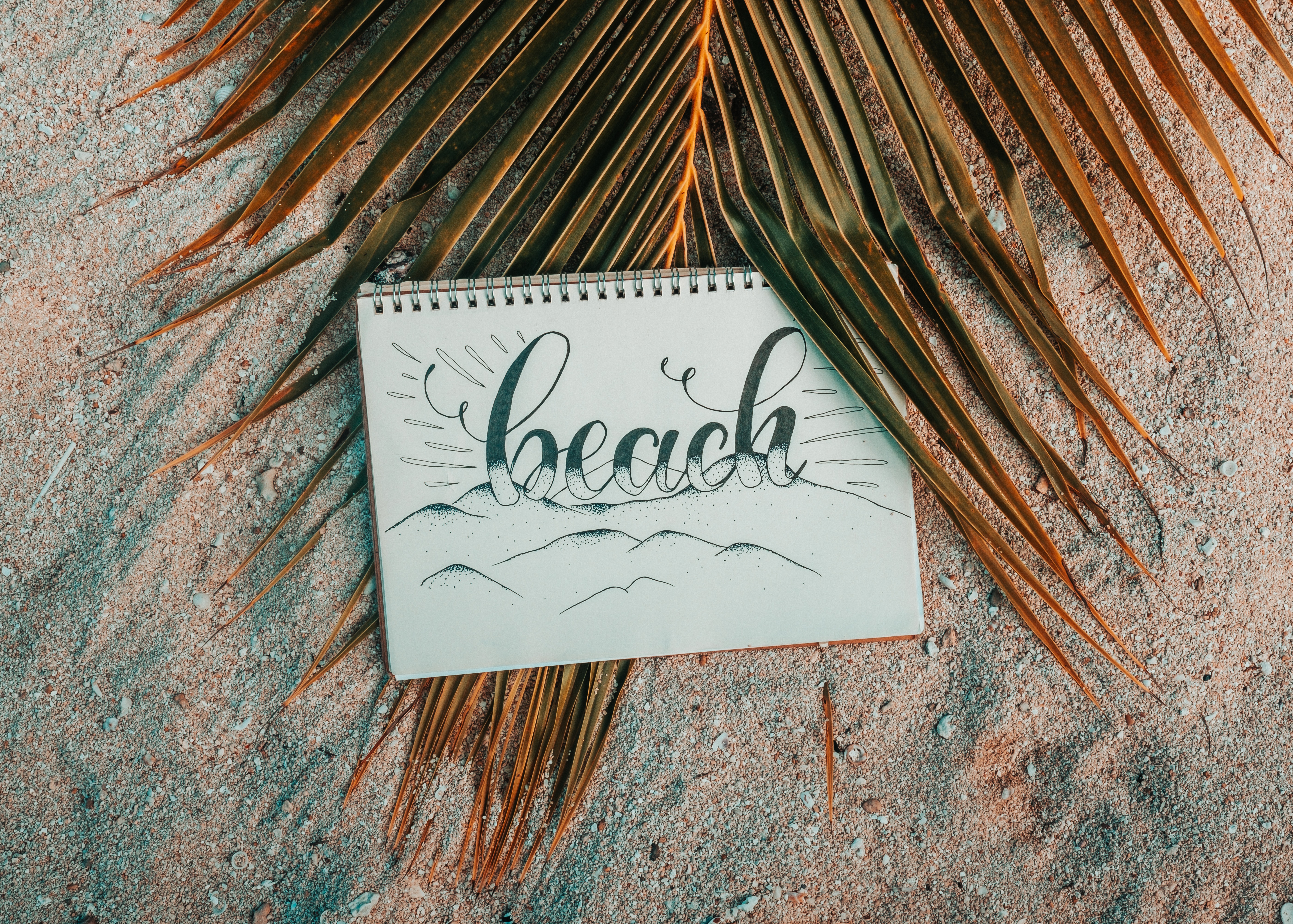 words, beach, sand, palm, branch, inscription, notebook, notepad