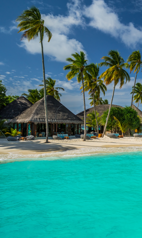 Descarga gratuita de fondo de pantalla para móvil de Cielo, Playa, Zona Tropical, Fotografía, Maldivas, Complejo, Palmera, Centro Turístico, Tropico, Constanza Halaveli Resort.