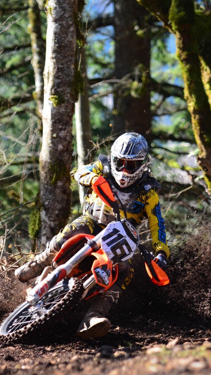 Download mobile wallpaper Sports, Motocross, Forest, Motorcycle, Ktm for free.