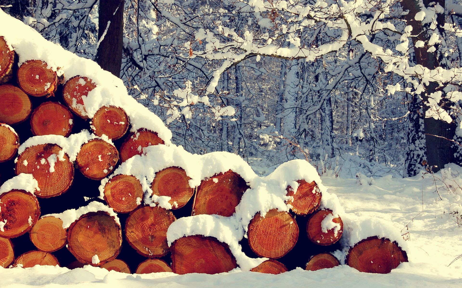 Baixe gratuitamente a imagem Inverno, Terra/natureza na área de trabalho do seu PC