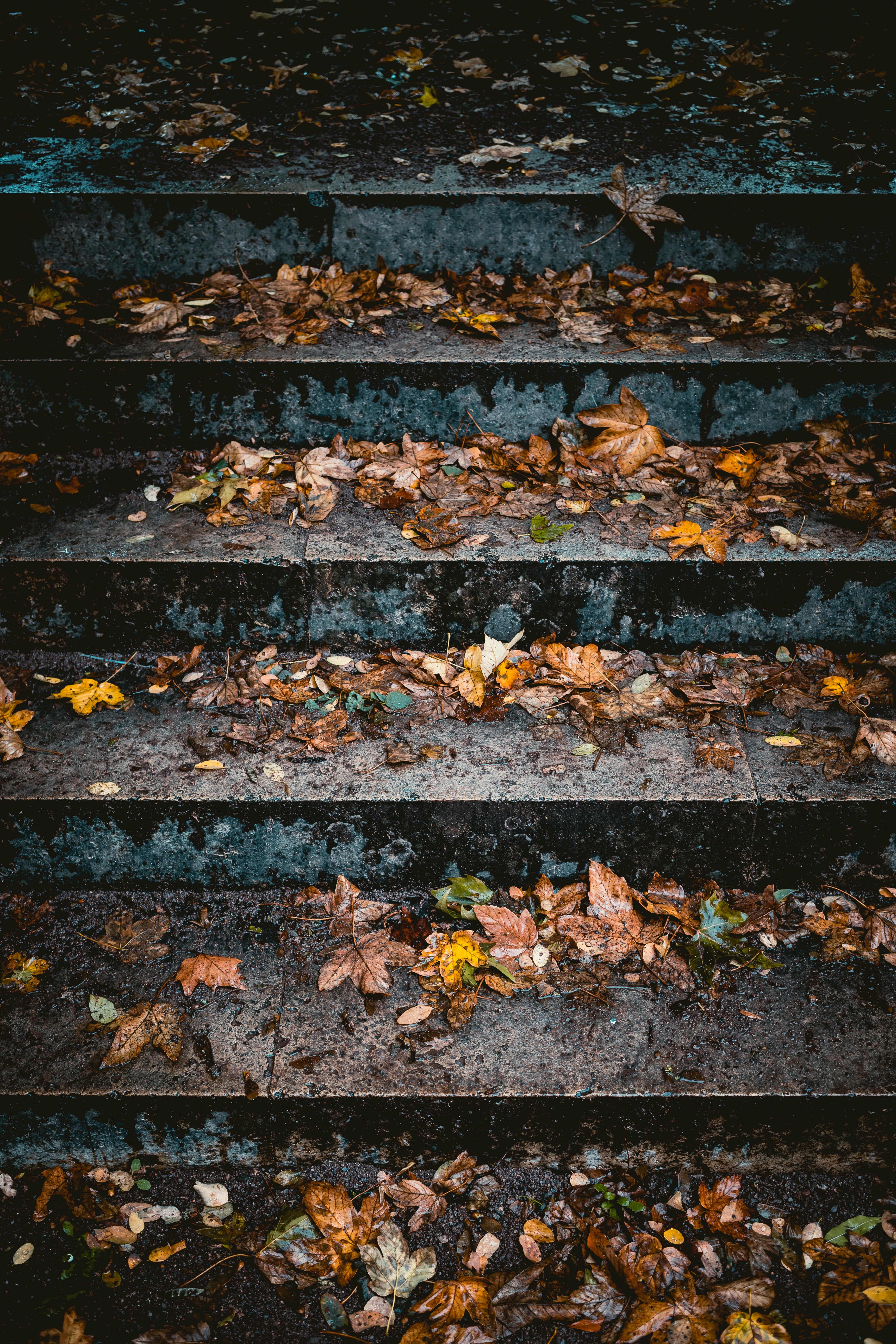 Download mobile wallpaper Ladder, Miscellaneous, Miscellanea, Leaves, Stairs, Autumn for free.