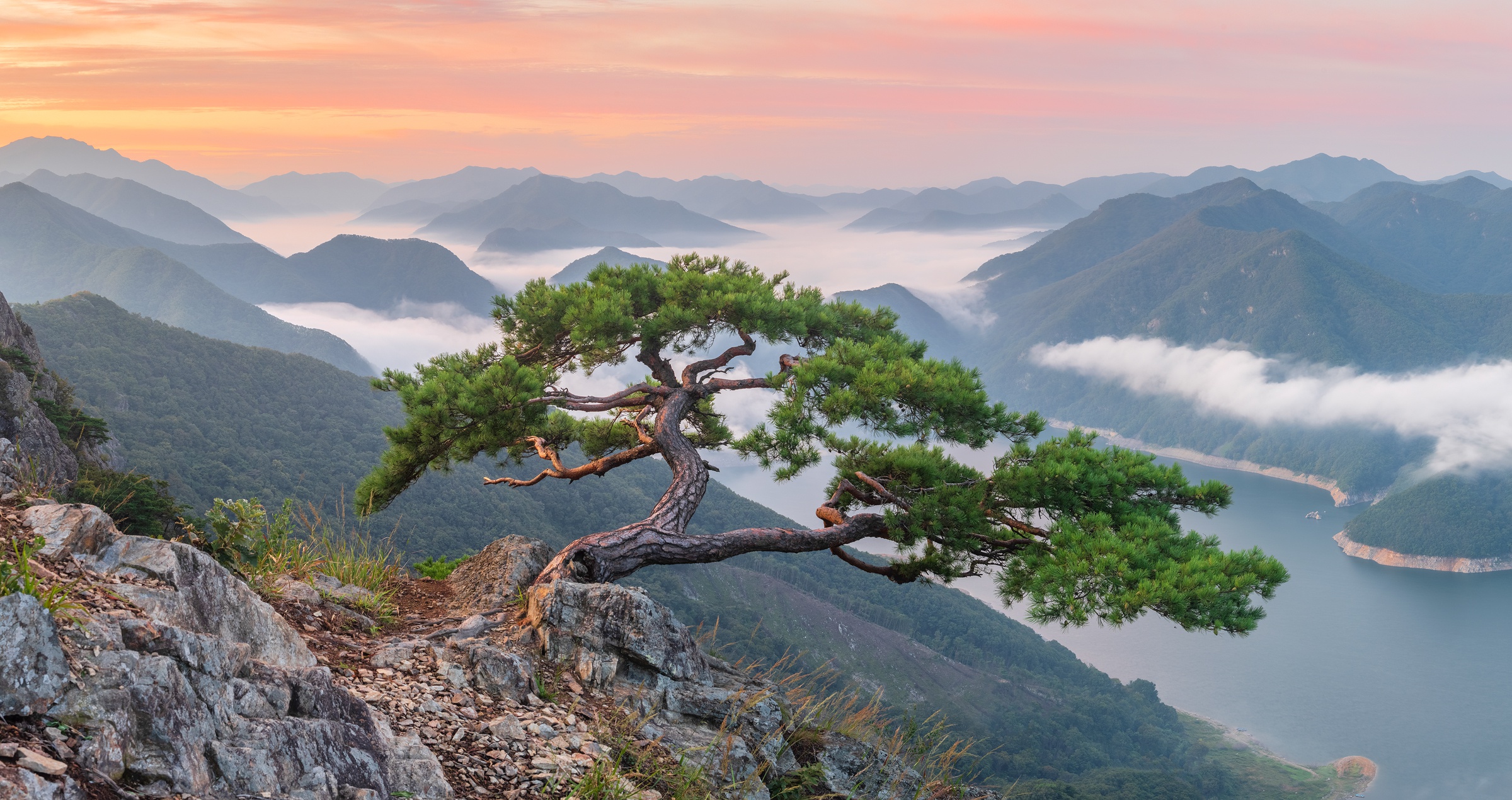 475320 завантажити шпалери південна корея, земля, дерево, туман, пейзаж, гора, природа, річка, дерева - заставки і картинки безкоштовно