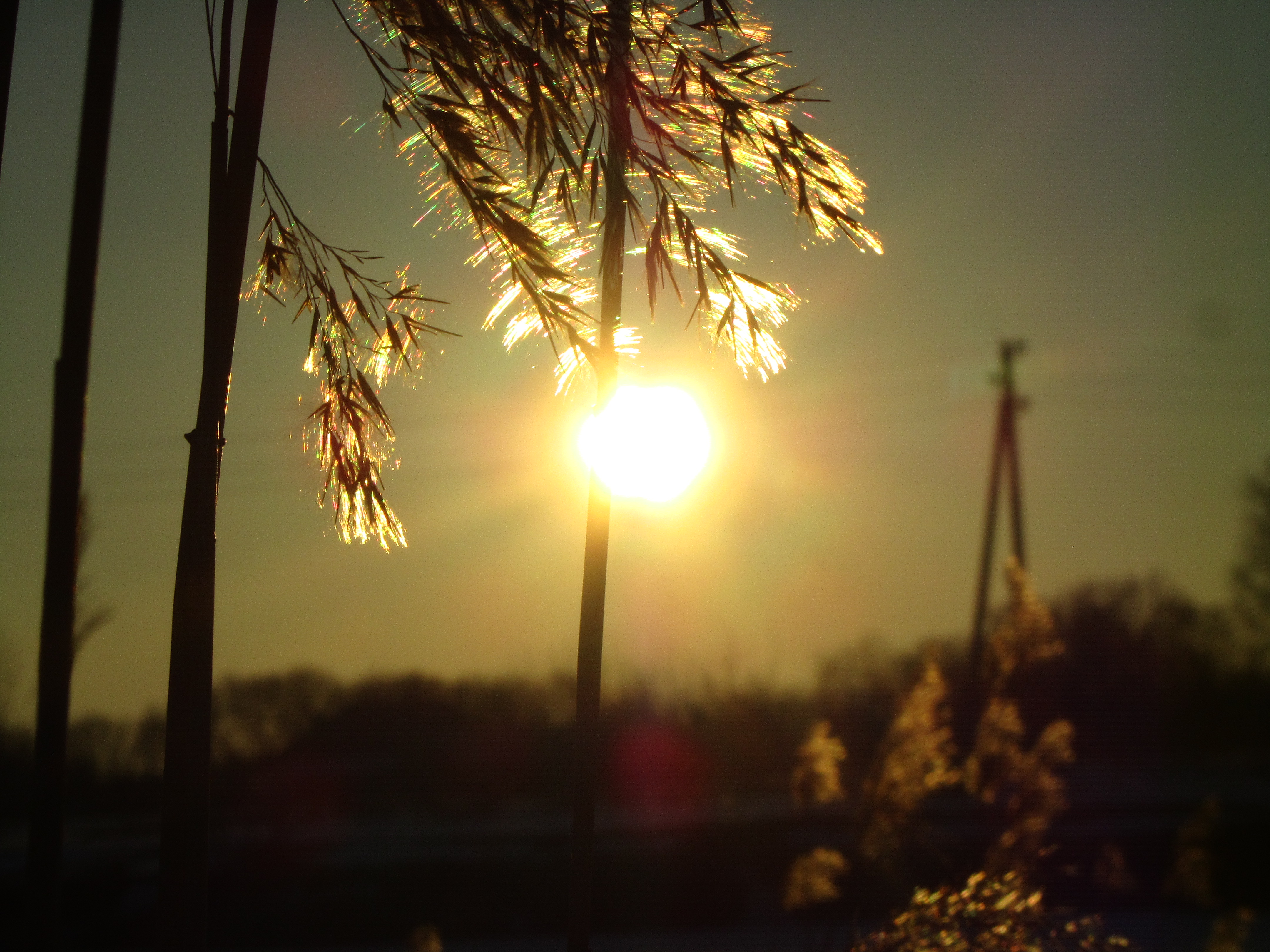 Descarga gratuita de fondo de pantalla para móvil de Rayo De Sol, Tierra/naturaleza.