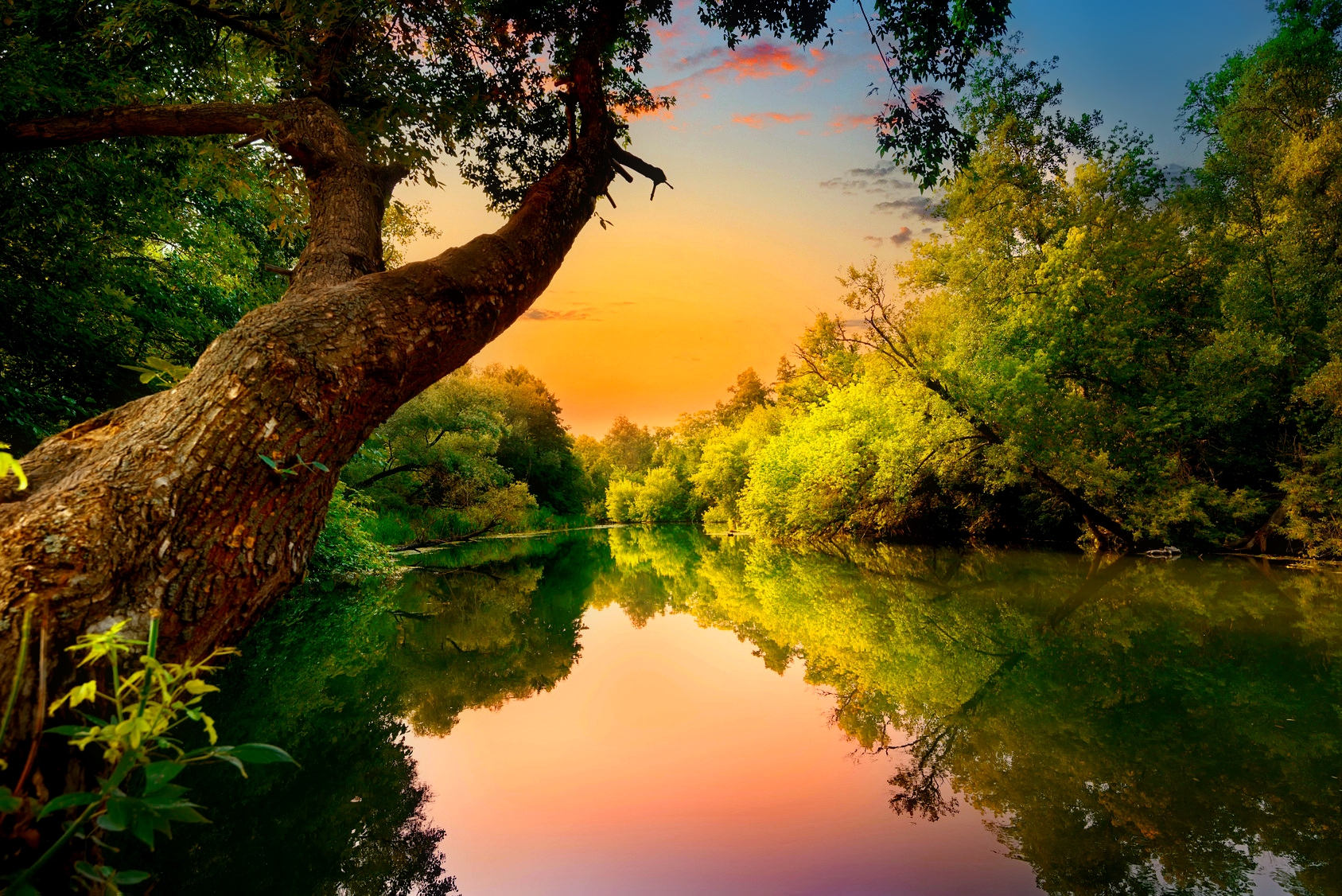 Скачать обои бесплатно Озеро, Отражение, Дерево, Зеленый, Земля/природа картинка на рабочий стол ПК