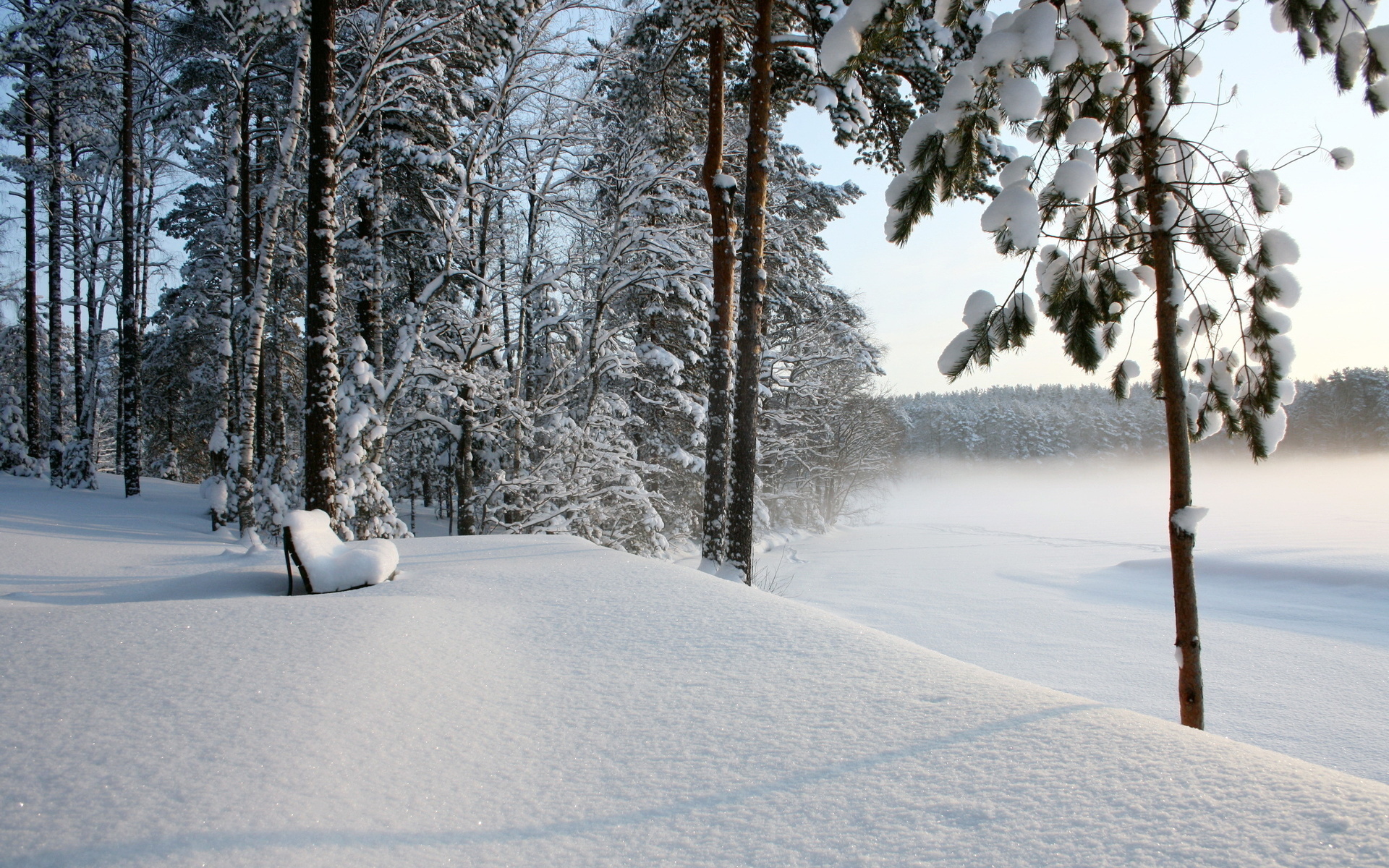Скачать обои бесплатно Деревья, Снег, Зима, Пейзаж картинка на рабочий стол ПК