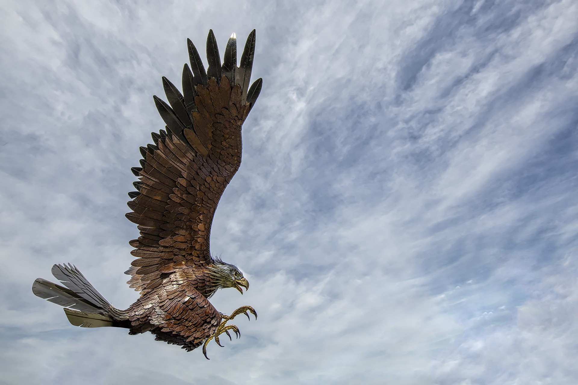 Descarga gratuita de fondo de pantalla para móvil de Animales, Águila, Nube, Aves, Ave.