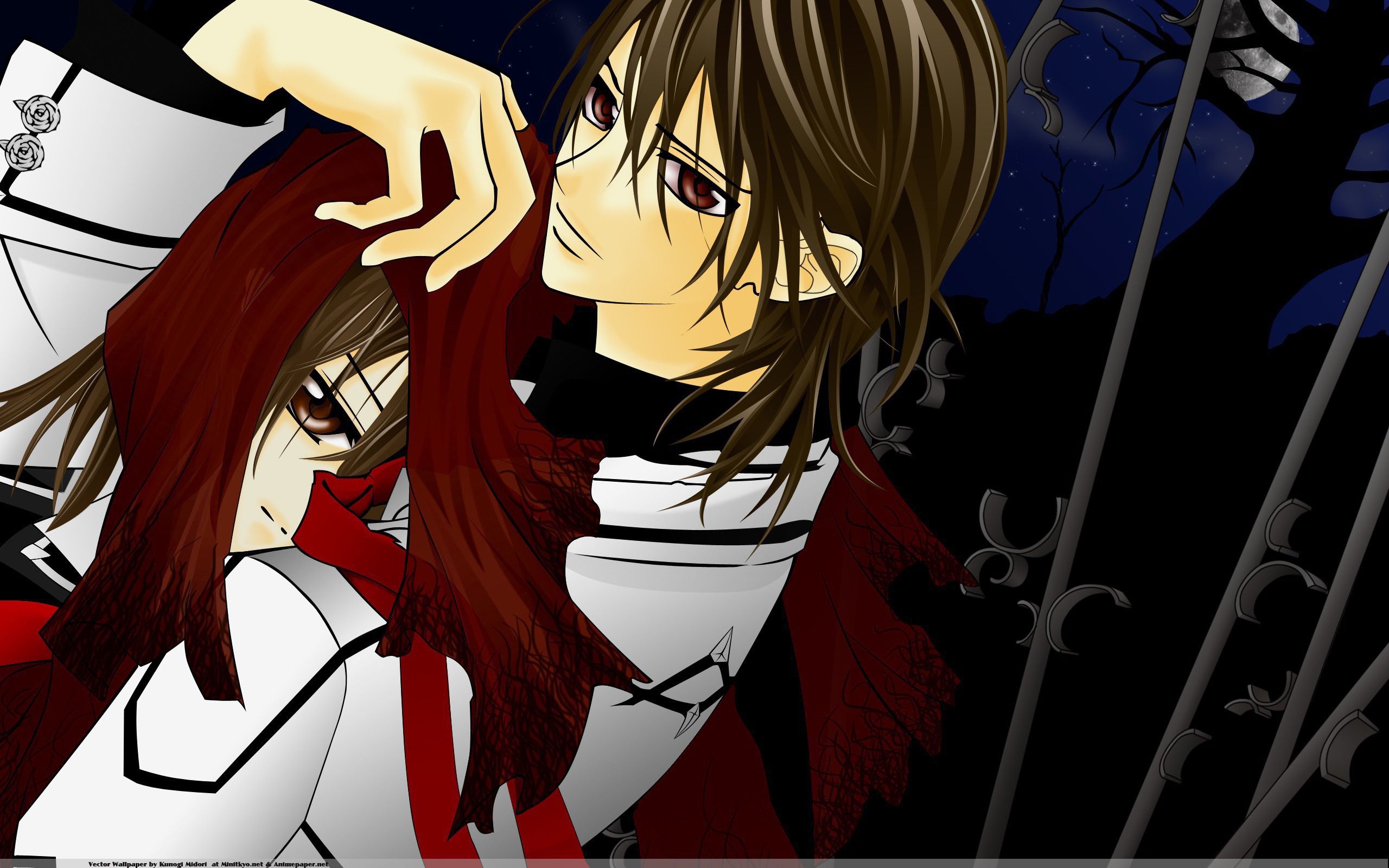 Laden Sie das Animes, Vampire Knight-Bild kostenlos auf Ihren PC-Desktop herunter
