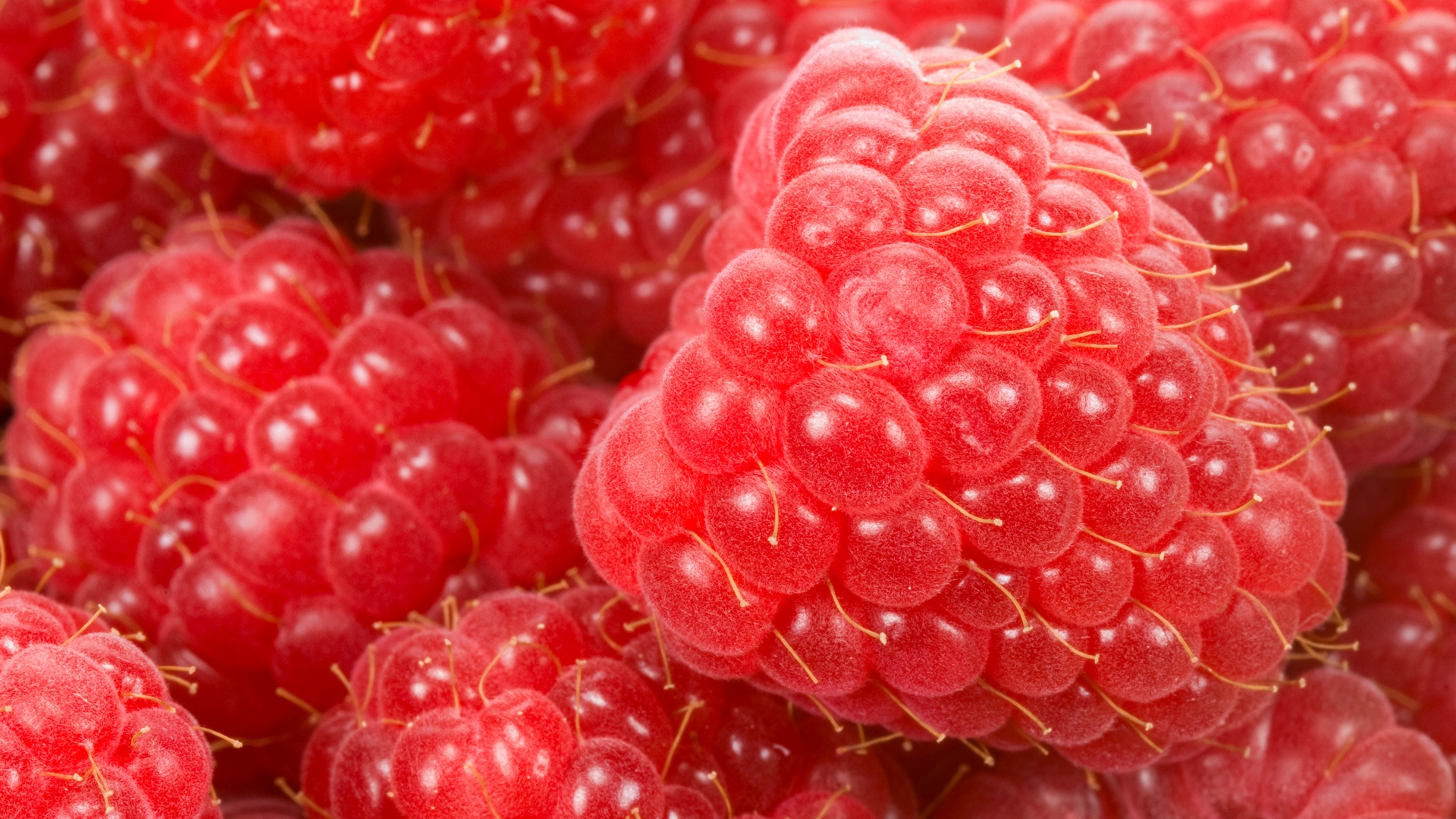 Free download wallpaper Food, Raspberry on your PC desktop