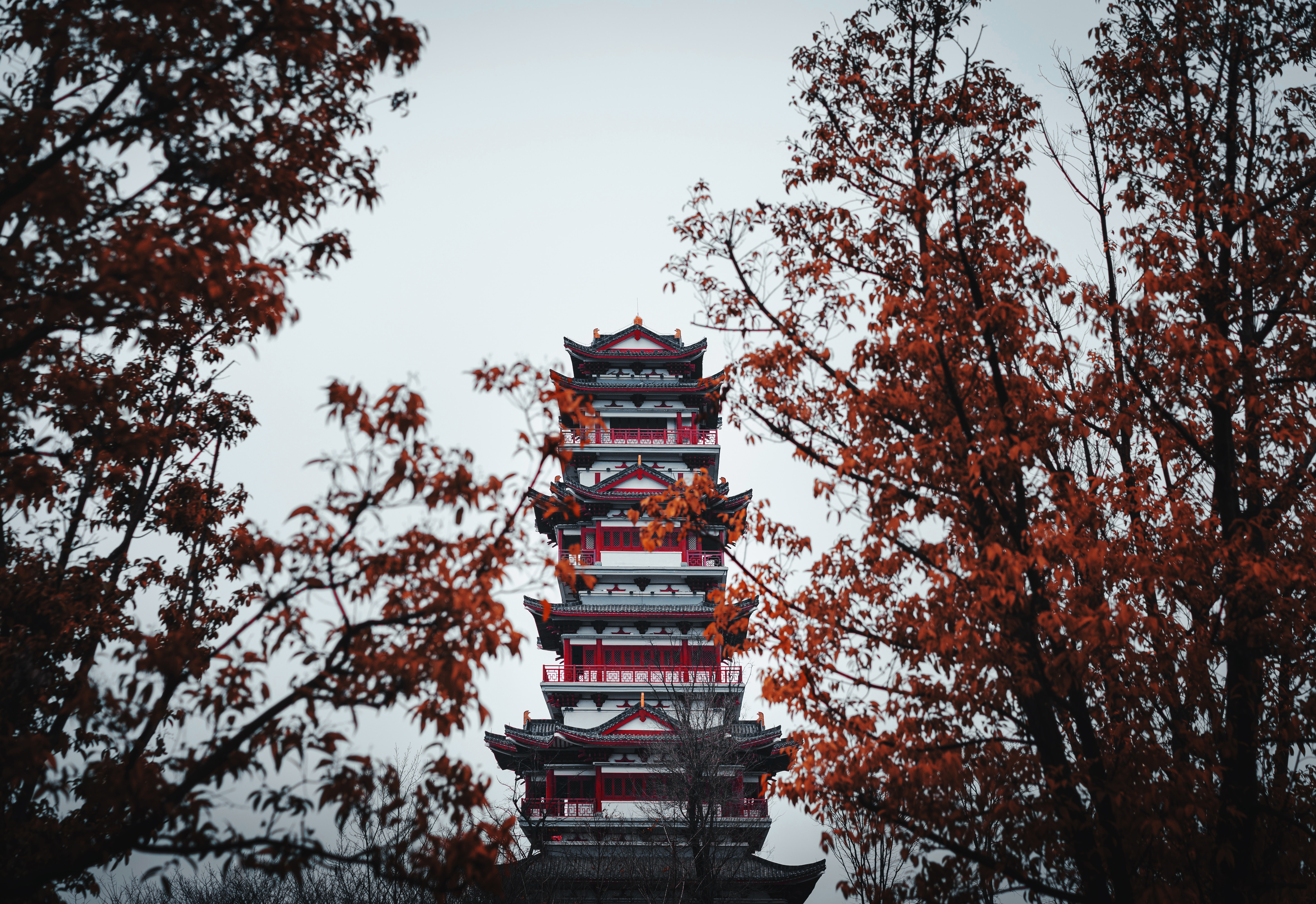 temple, pagoda, trees, architecture, building, miscellanea, miscellaneous Phone Background