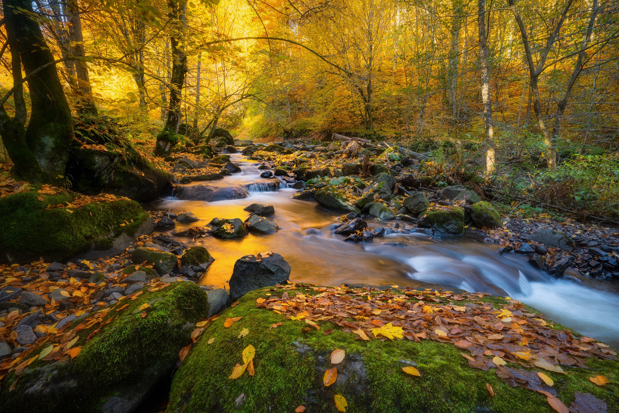 Скачать обои бесплатно Природа, Осень, Ручей, Земля/природа картинка на рабочий стол ПК