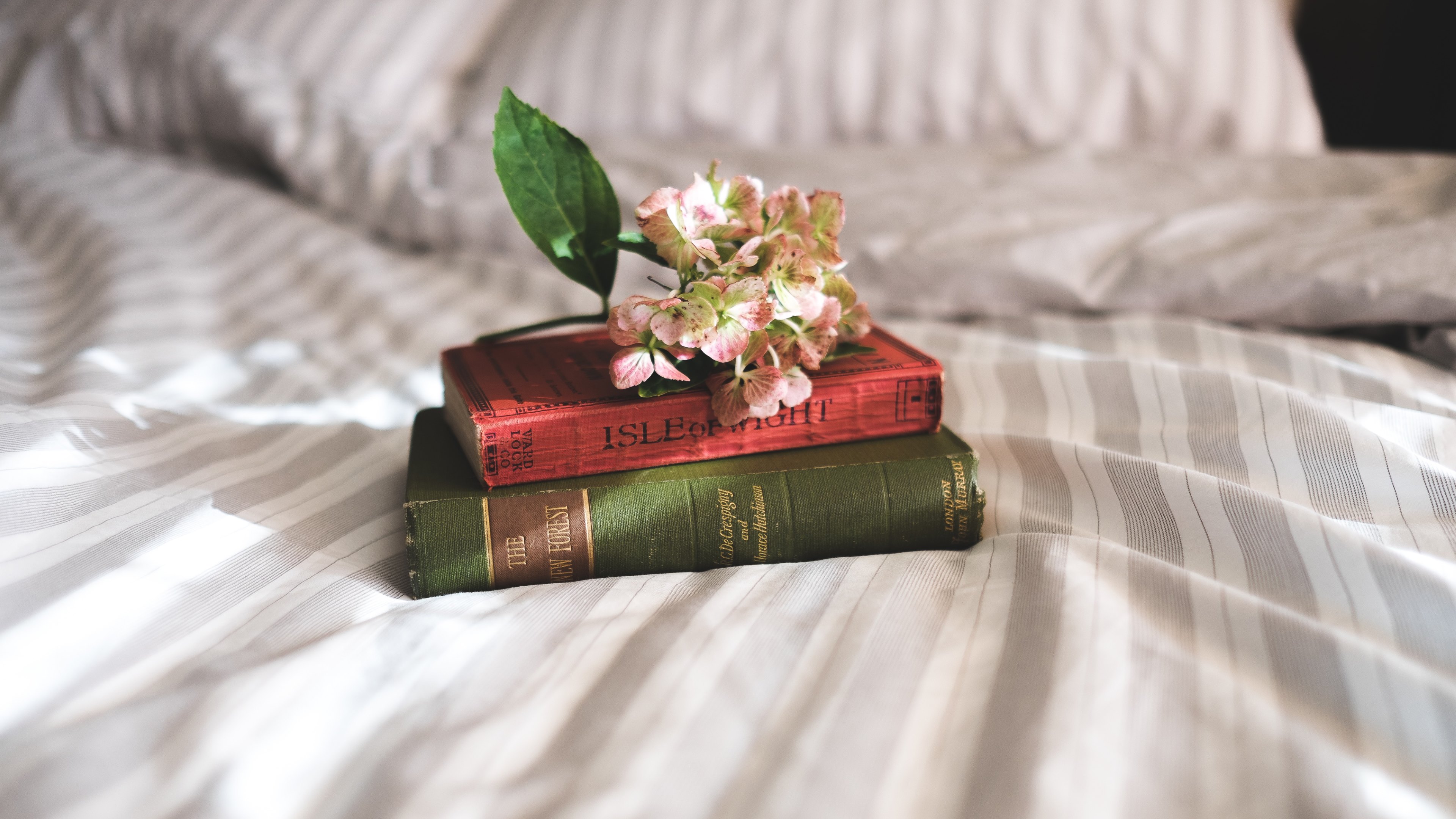 Free download wallpaper Still Life, Flower, Book, Bed, Photography on your PC desktop