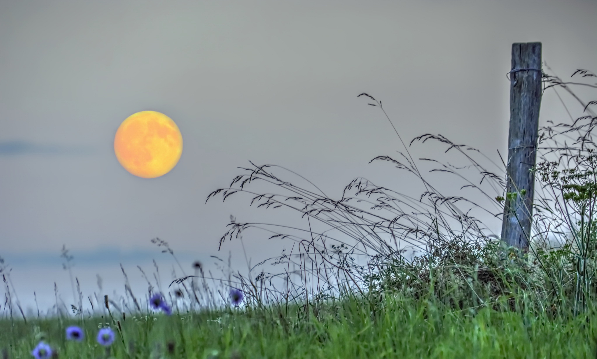 Free download wallpaper Grass, Sky, Moon, Earth on your PC desktop