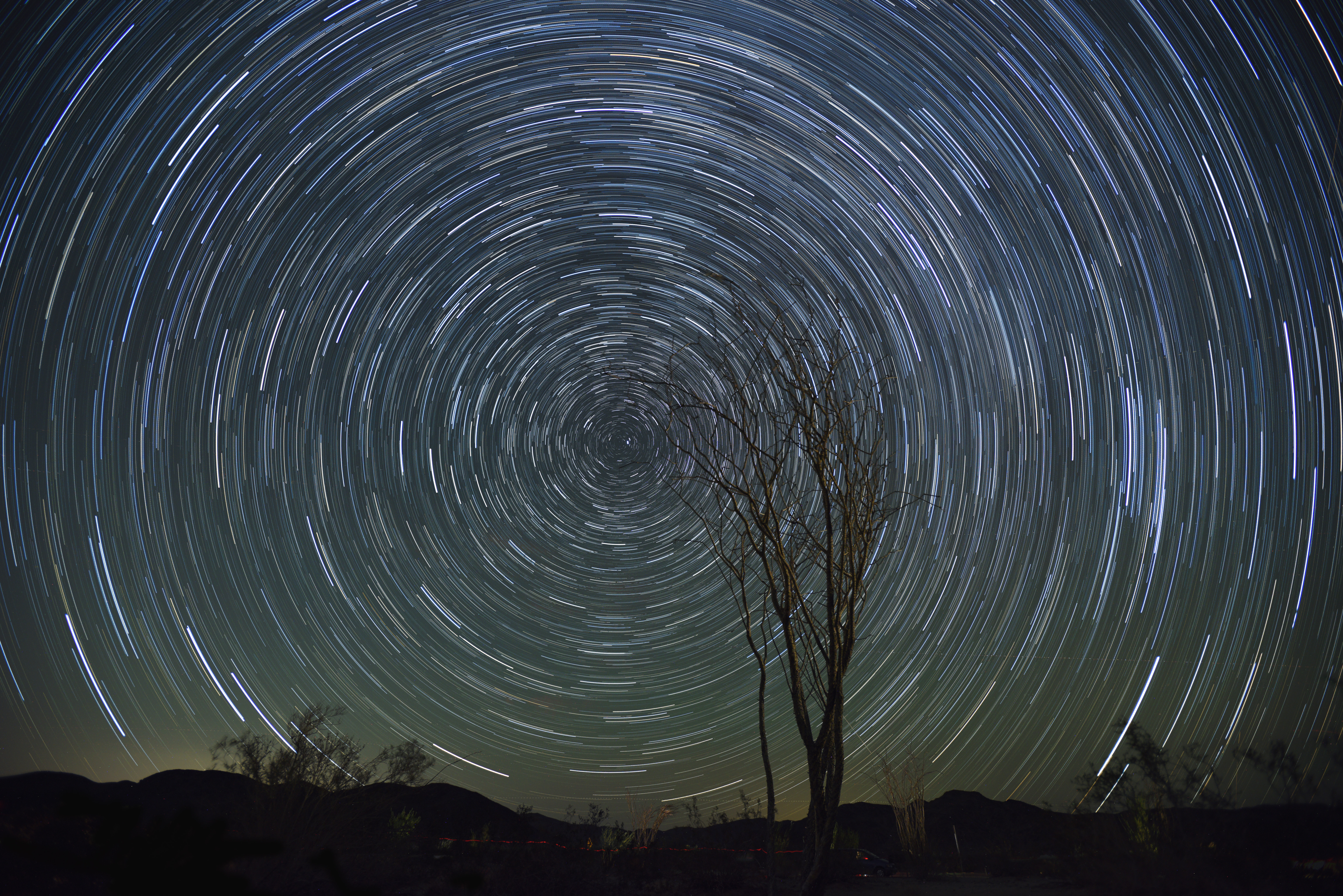 starry sky, nature, stars, wood, tree, long exposure, rotation images