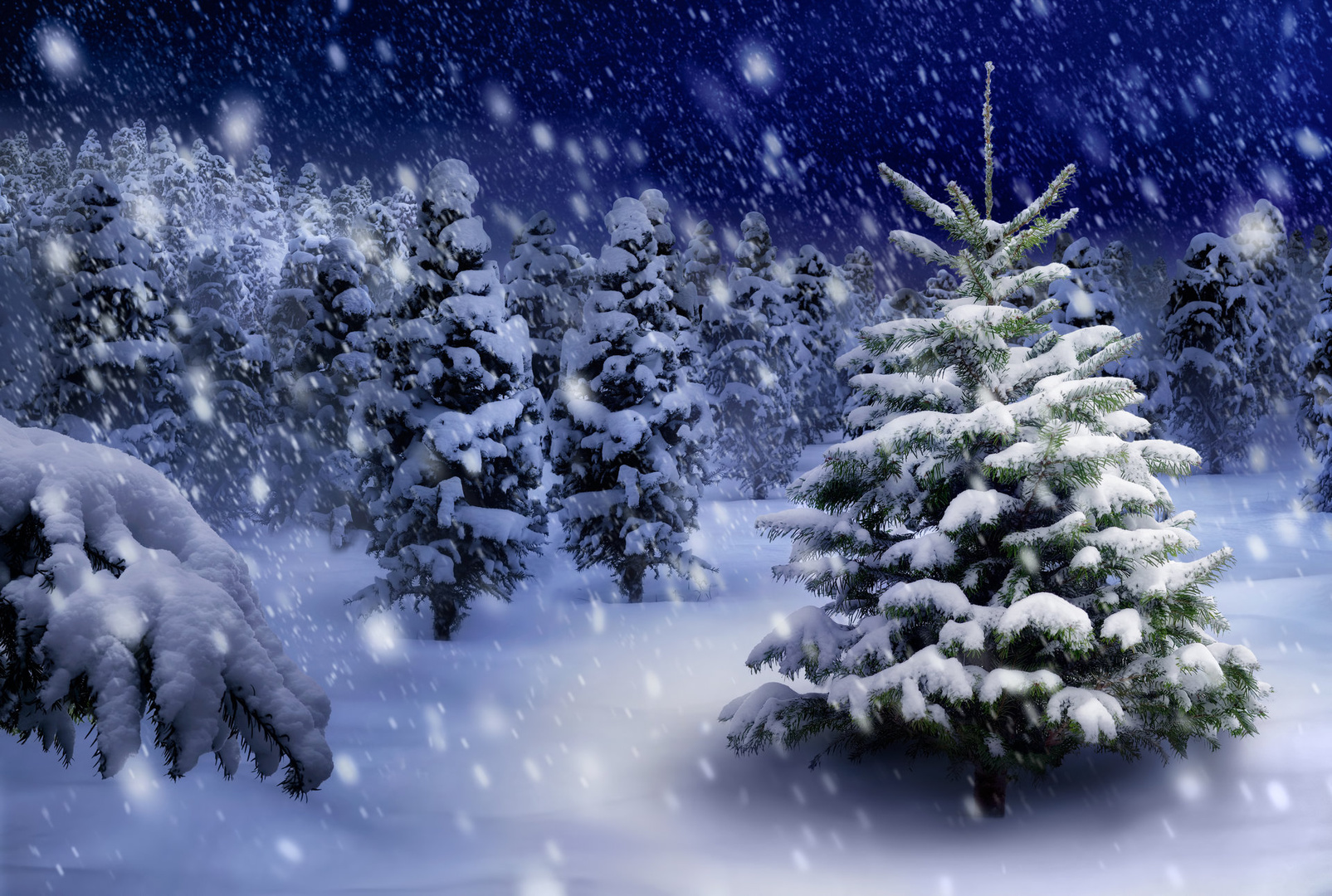 Download mobile wallpaper Winter, Nature, Snow, Forest, Tree, Earth, Snowfall for free.