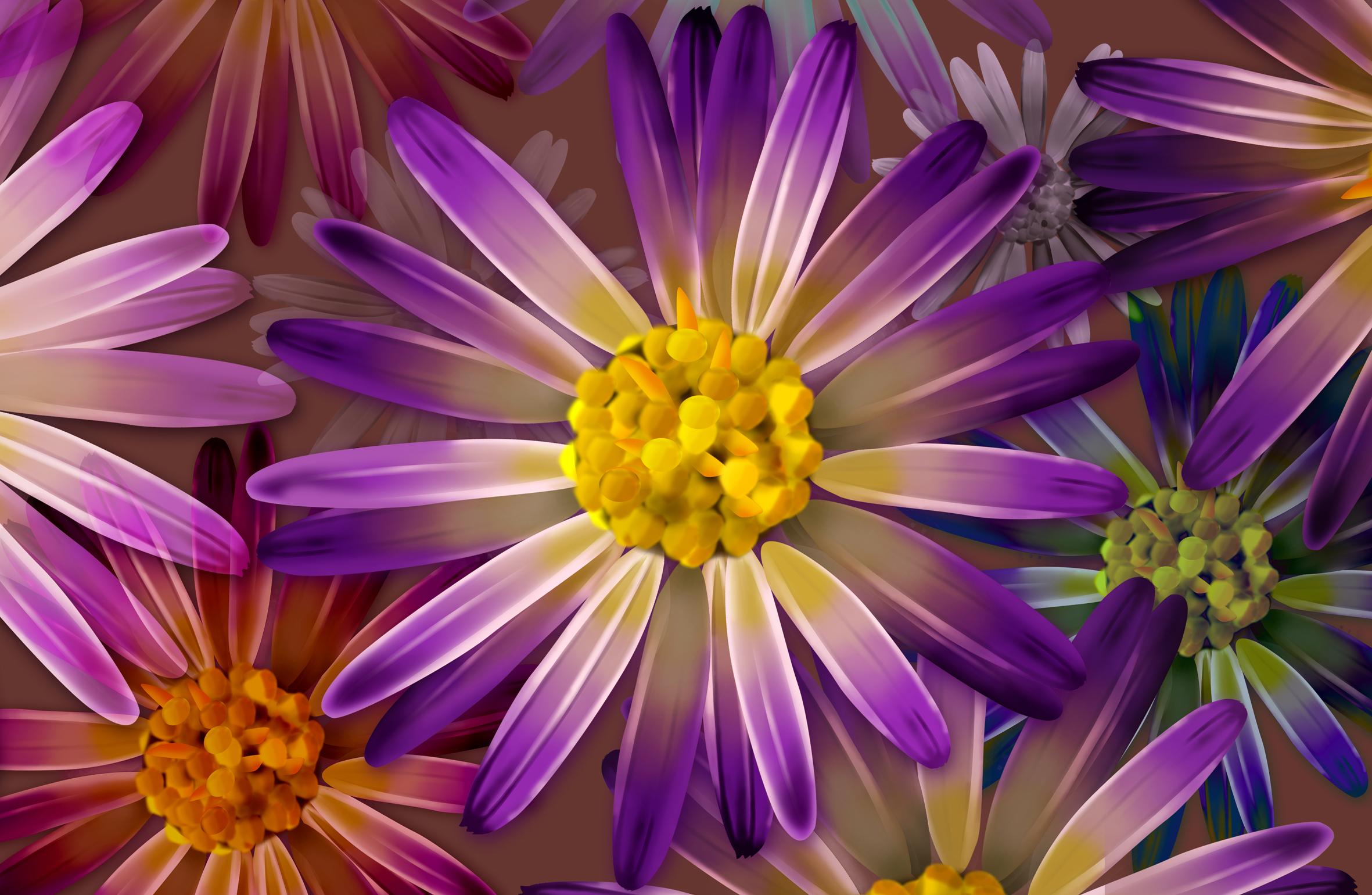 Laden Sie das Blumen, Blume, Farben, Bunt, Blütenblatt, Gänseblümchen, Künstlerisch, Lila Blume-Bild kostenlos auf Ihren PC-Desktop herunter