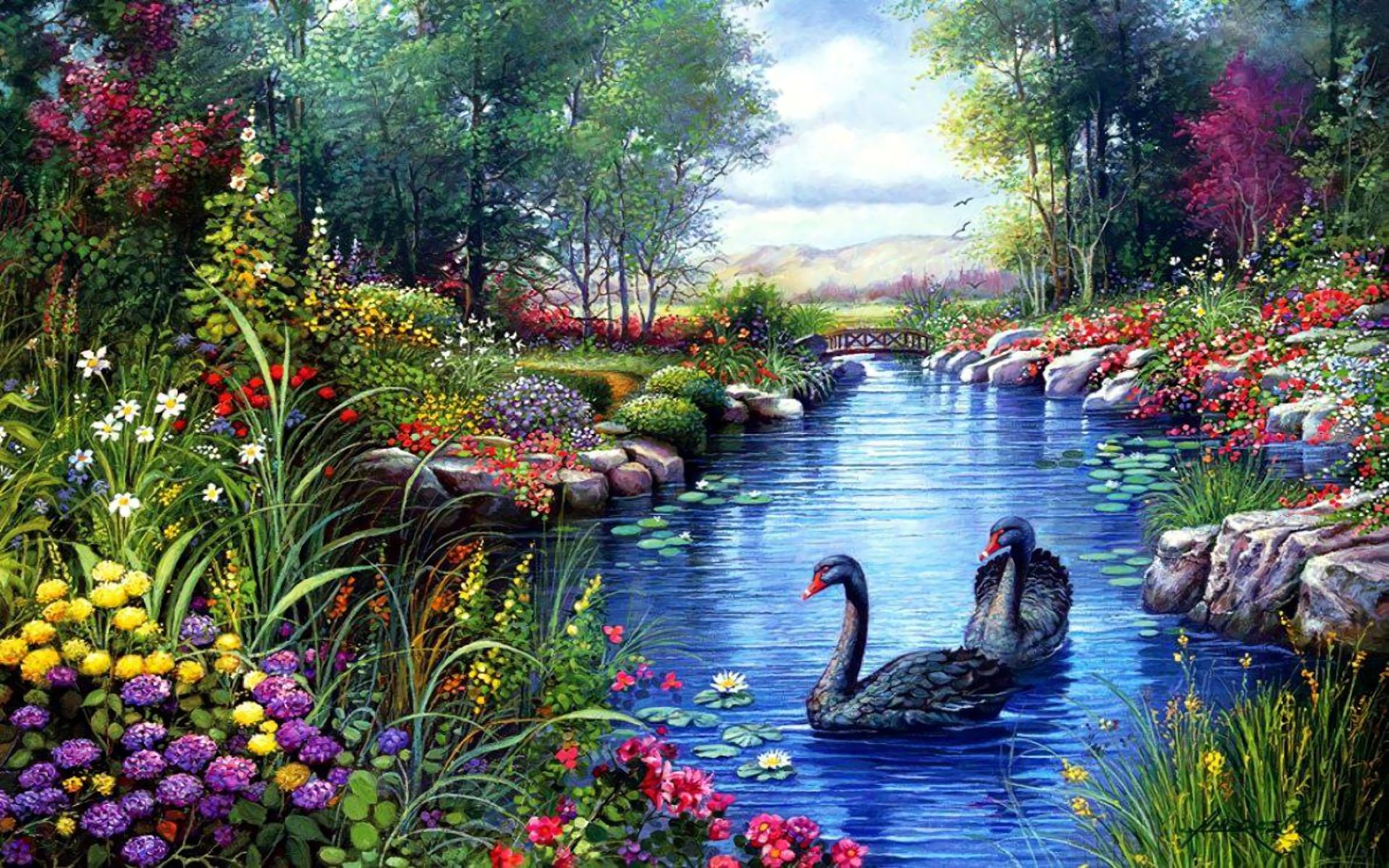 artistic, spring, black swan, flower, lake, pond, swan