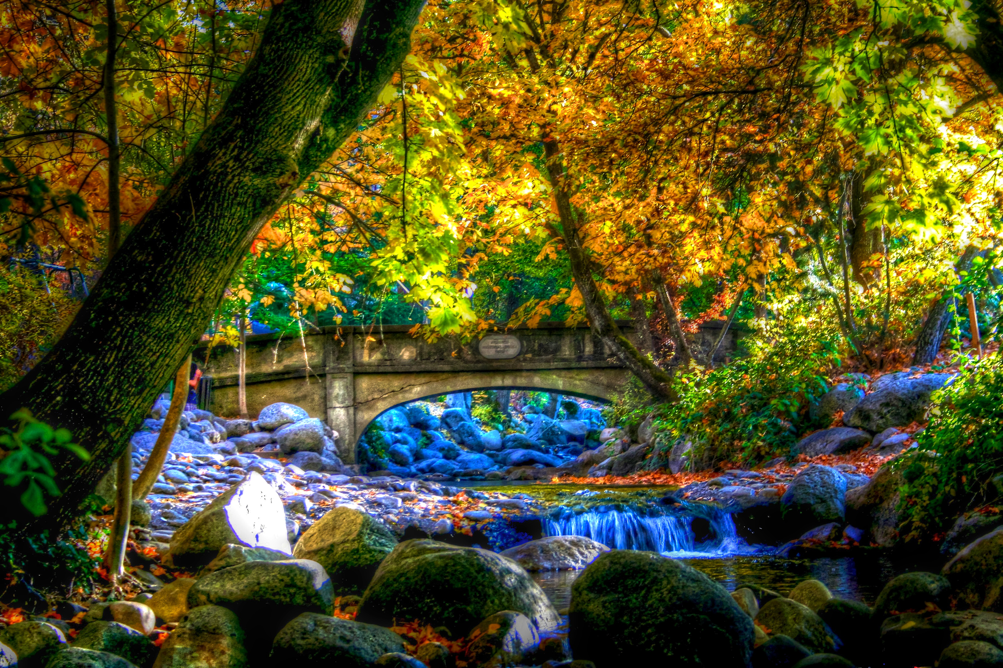 Download mobile wallpaper Waterfall, Tree, Fall, Earth, Bridge, Stream, Hdr, Photography for free.