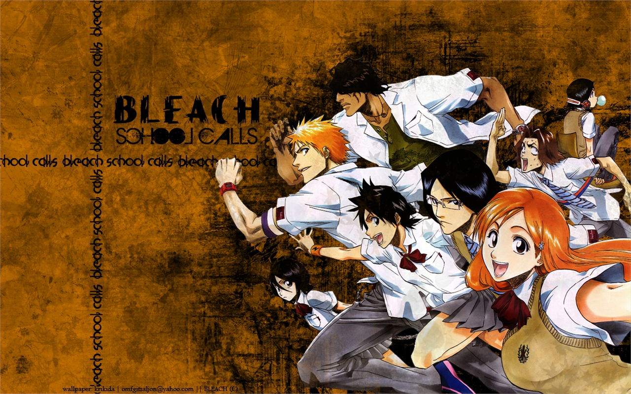 Laden Sie das Bleach, Animes, Ichigo Kurosaki, Orihime Inoue, Uryu Ishida, Yasutora Sado, Tatsuki Arisawa-Bild kostenlos auf Ihren PC-Desktop herunter