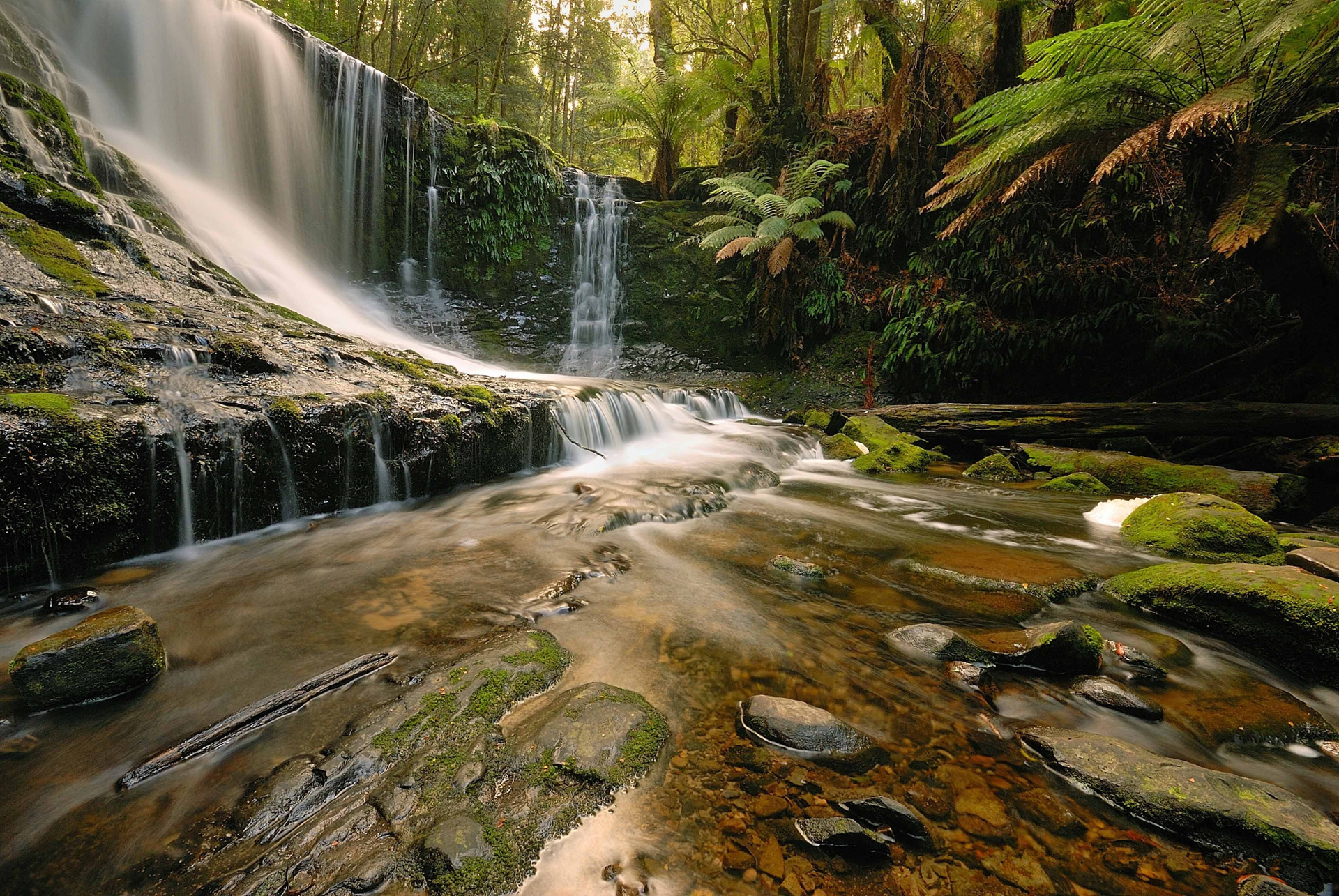 Free download wallpaper Waterfalls, Waterfall, Forest, Tree, Earth, Tropical on your PC desktop