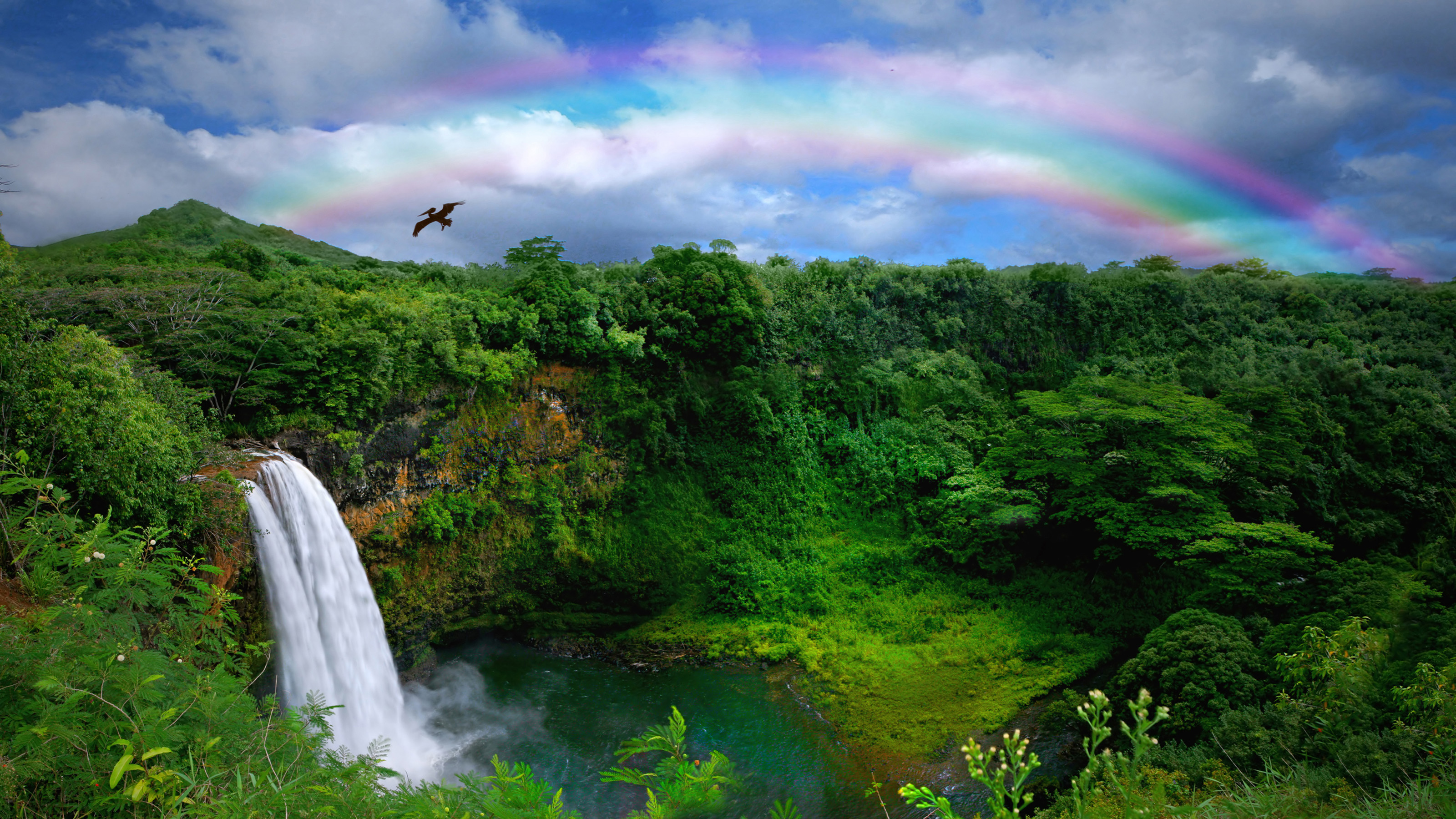 Laden Sie das Wasserfälle, Regenbogen, Wasserfall, Hawaii, Erde/natur-Bild kostenlos auf Ihren PC-Desktop herunter