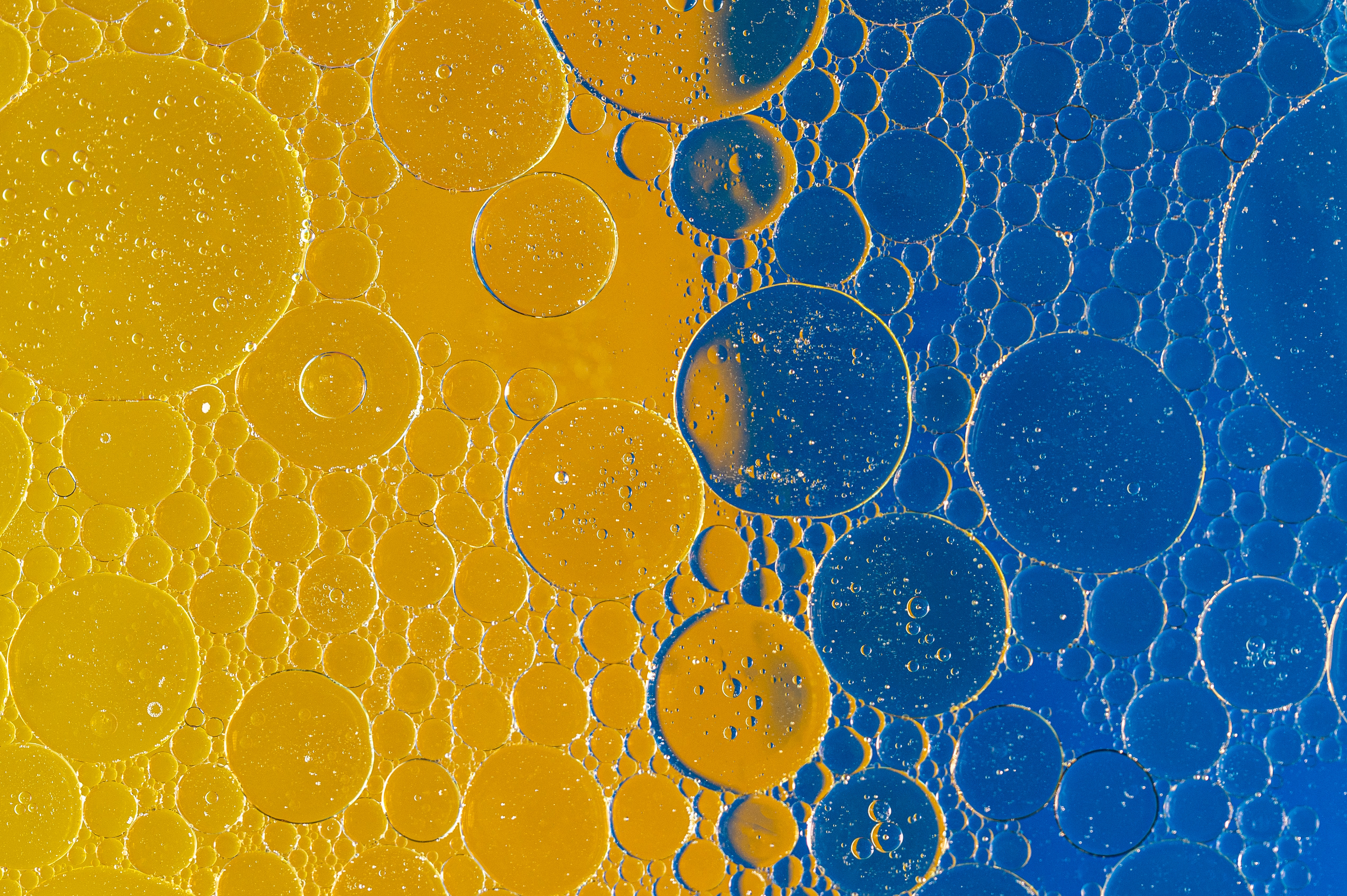 Free download wallpaper Abstract, Macro, Bubbles, Liquid on your PC desktop