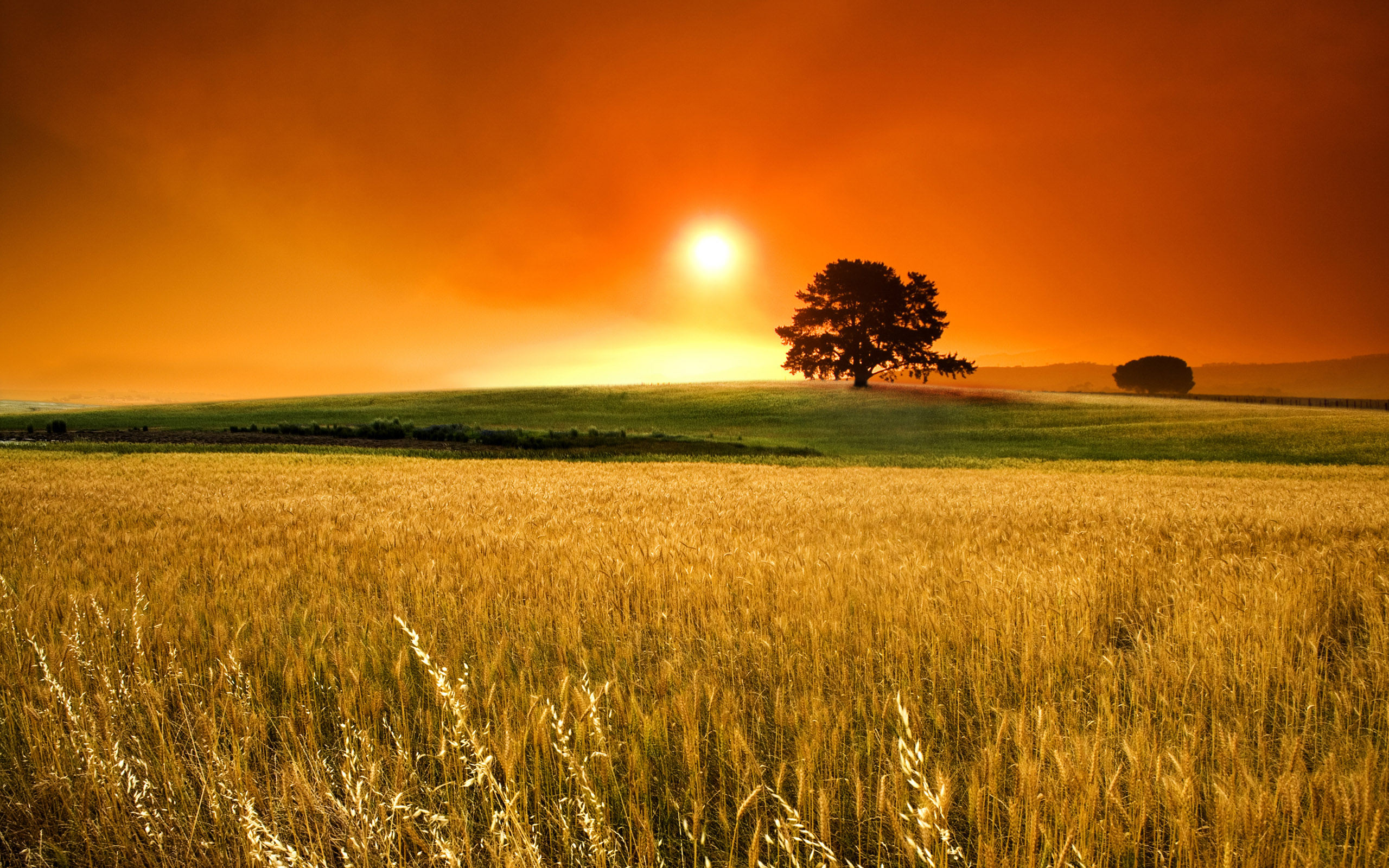 Download mobile wallpaper Earth, Field for free.