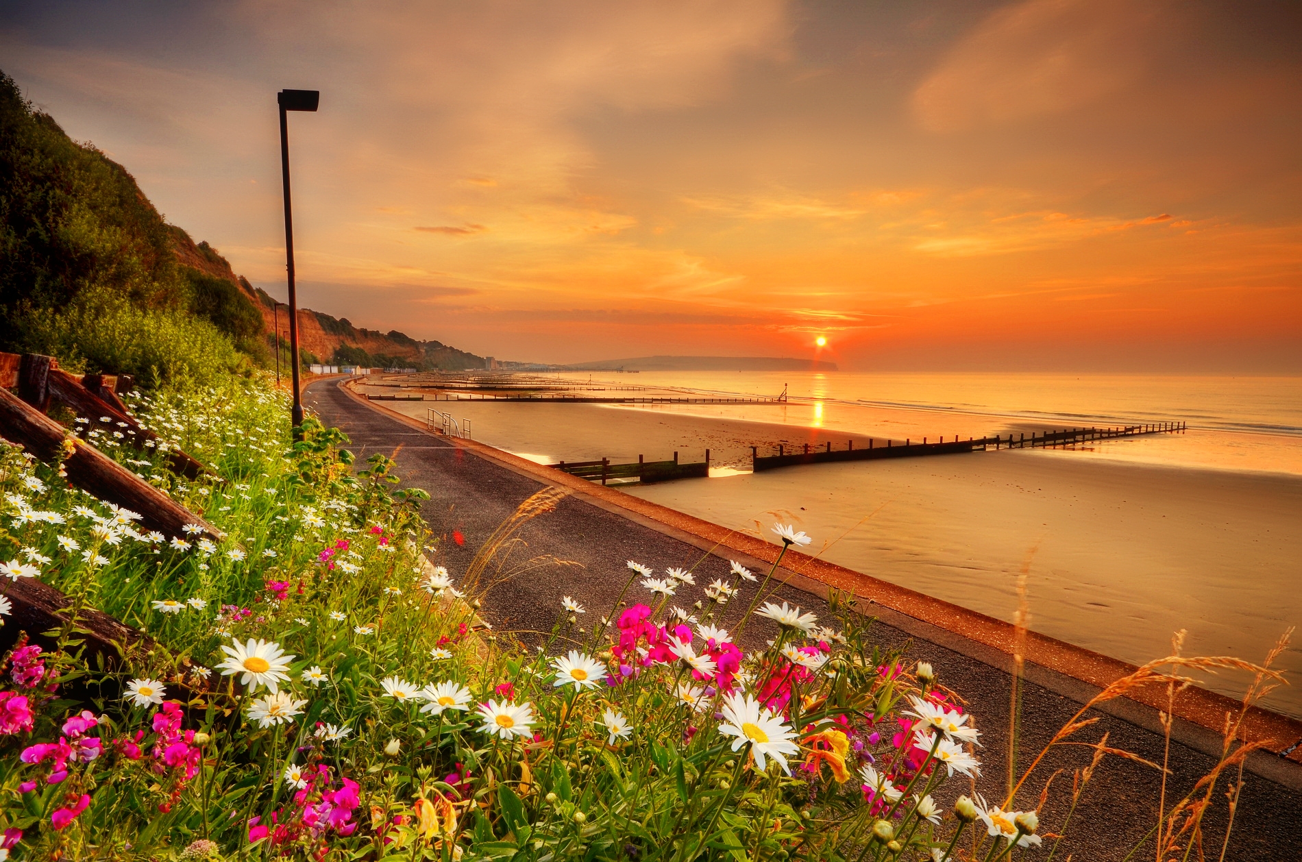 Laden Sie das Strand, Horizont, Blume, Küste, Seebrücke, Ozean, Erde, Fotografie, Himmel, Sonnenuntergang-Bild kostenlos auf Ihren PC-Desktop herunter