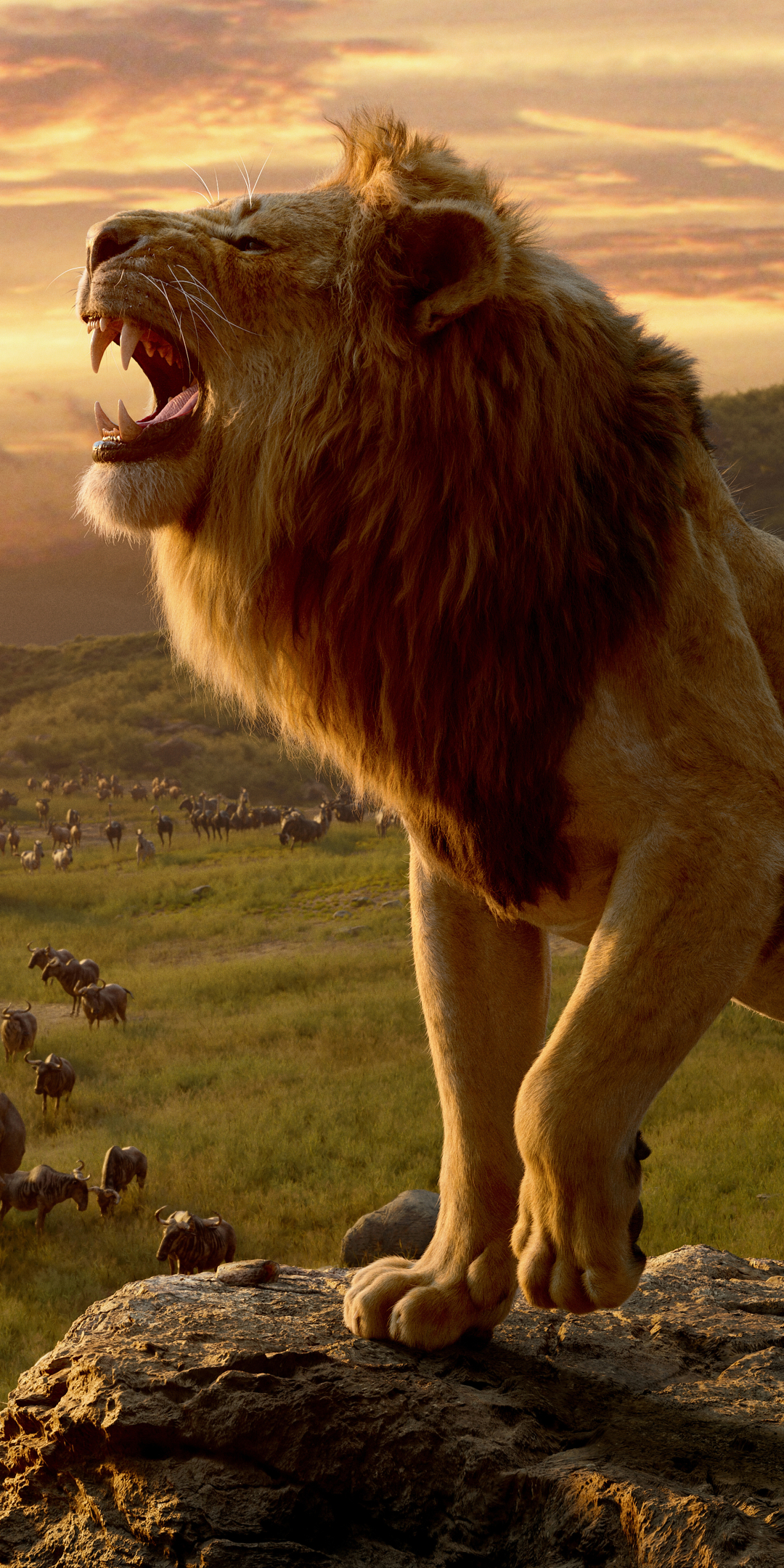 無料モバイル壁紙映画, ライオン, ムファサ（ライオンキング）, ライオン・キング (2019)をダウンロードします。
