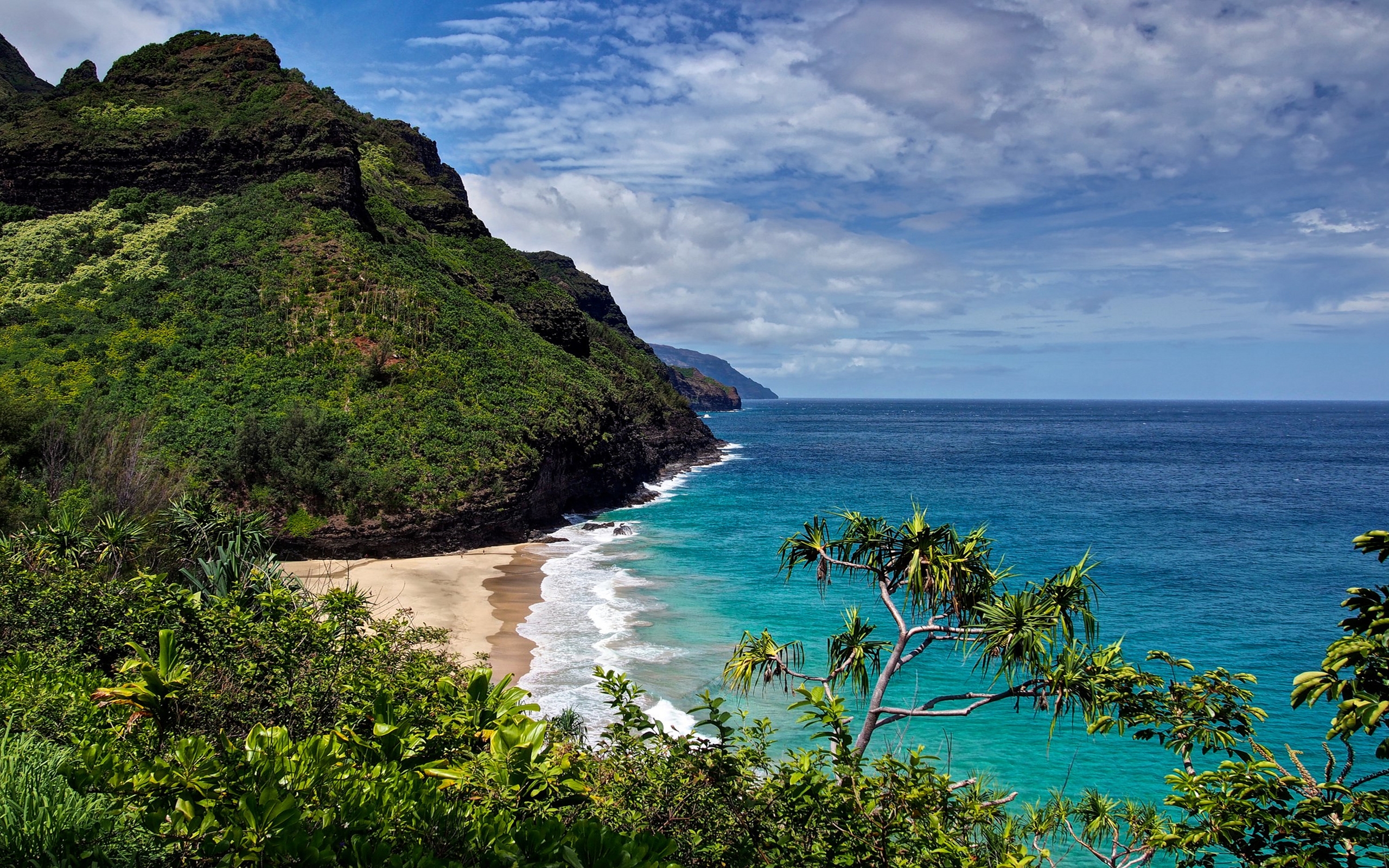 Скачать обои бесплатно Пляж, Океан, Гавайи, Земля/природа картинка на рабочий стол ПК