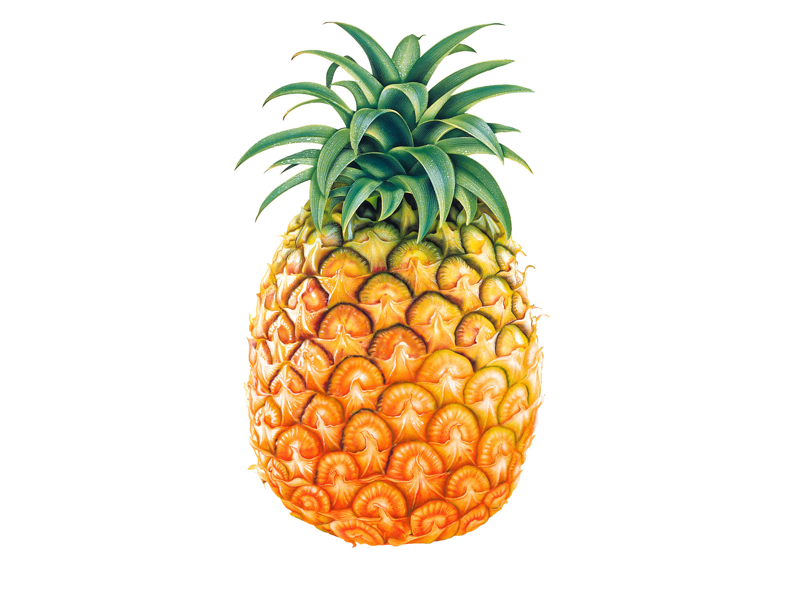322763 Bild herunterladen nahrungsmittel, ananas, früchte - Hintergrundbilder und Bildschirmschoner kostenlos