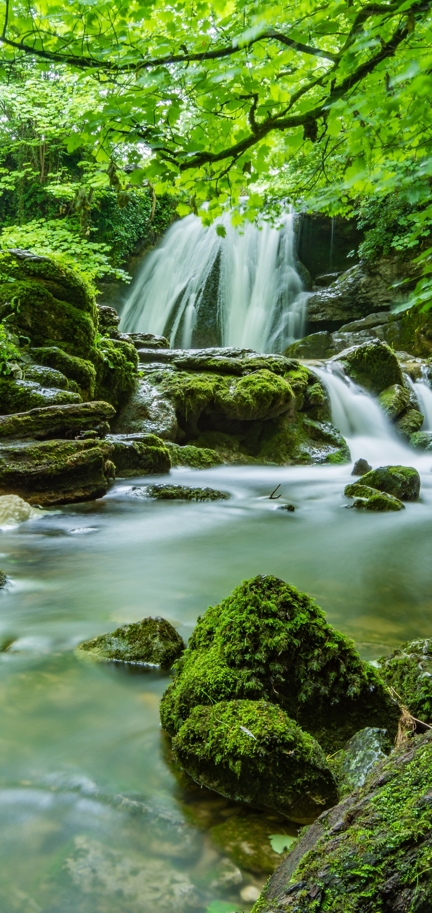 Free download wallpaper Waterfalls, Waterfall, Earth, Greenery on your PC desktop