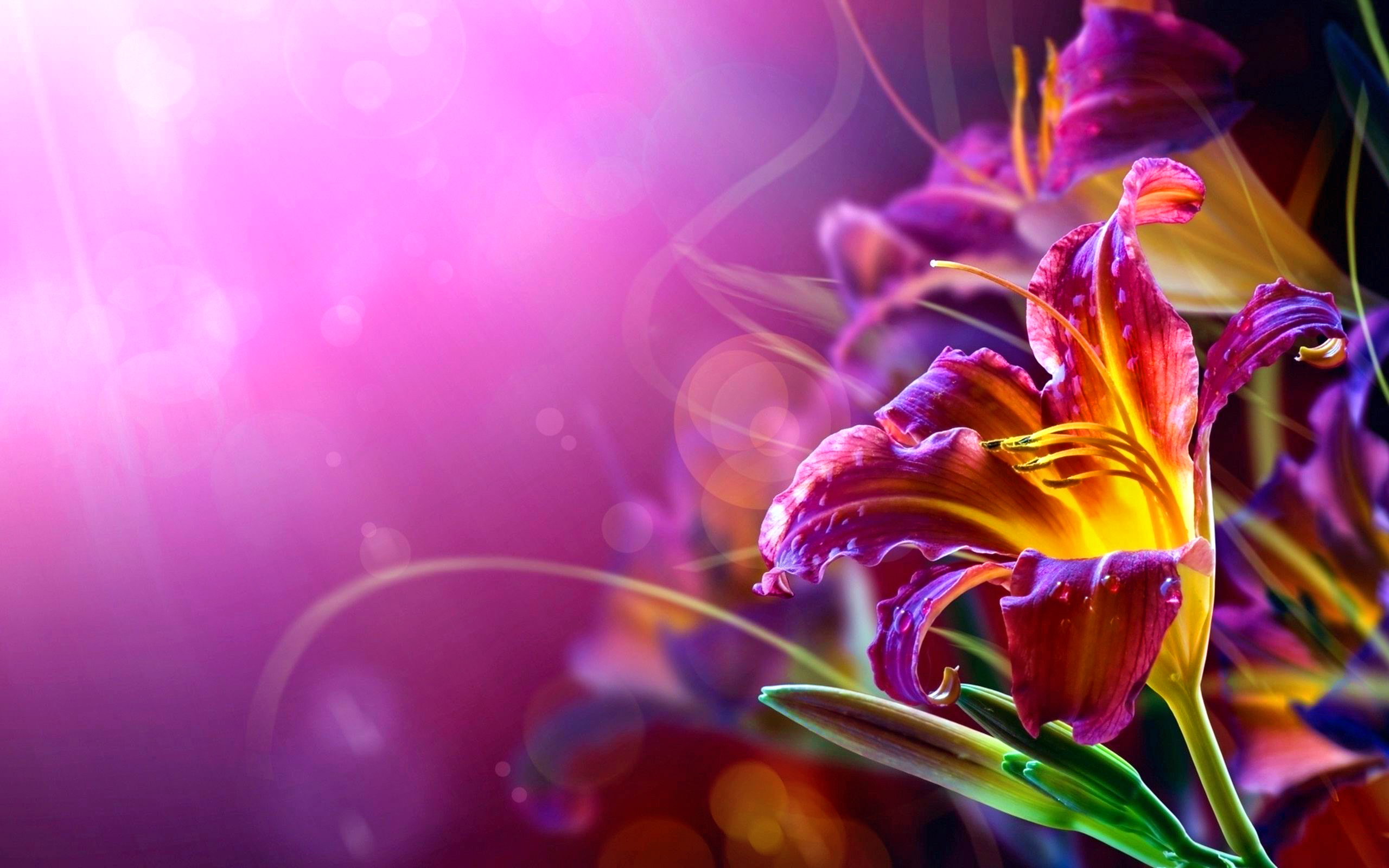 399739 завантажити картинку весна, земля, лілія, барвистий, квітка, флауерзи - шпалери і заставки безкоштовно