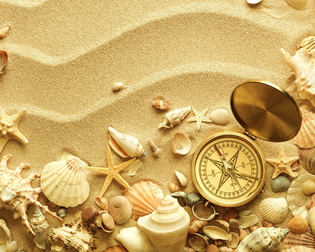 yellow, background, shells, sand, still life for android