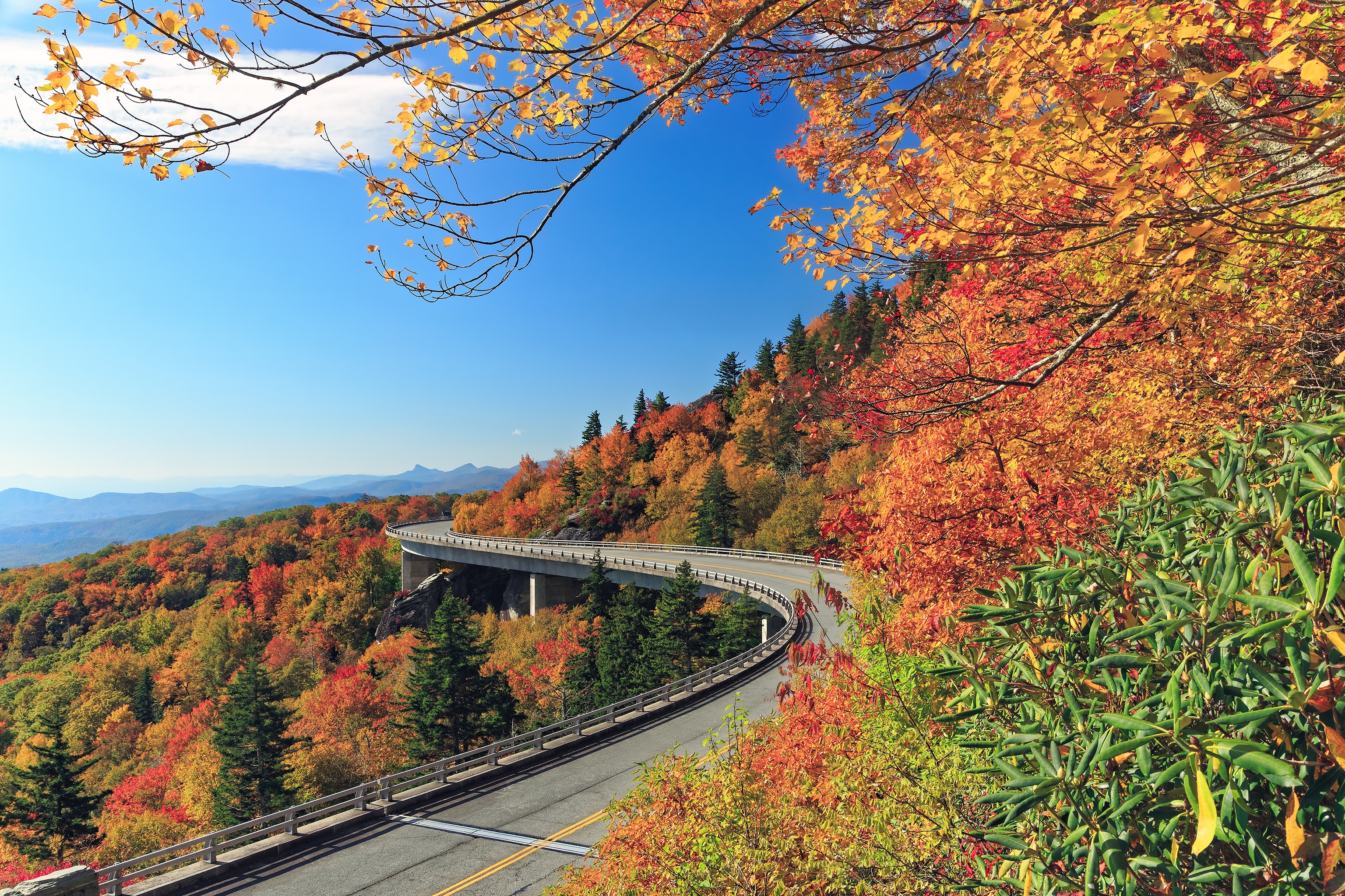 無料モバイル壁紙風景, 自然, 秋, 道, 森, マンメイドをダウンロードします。