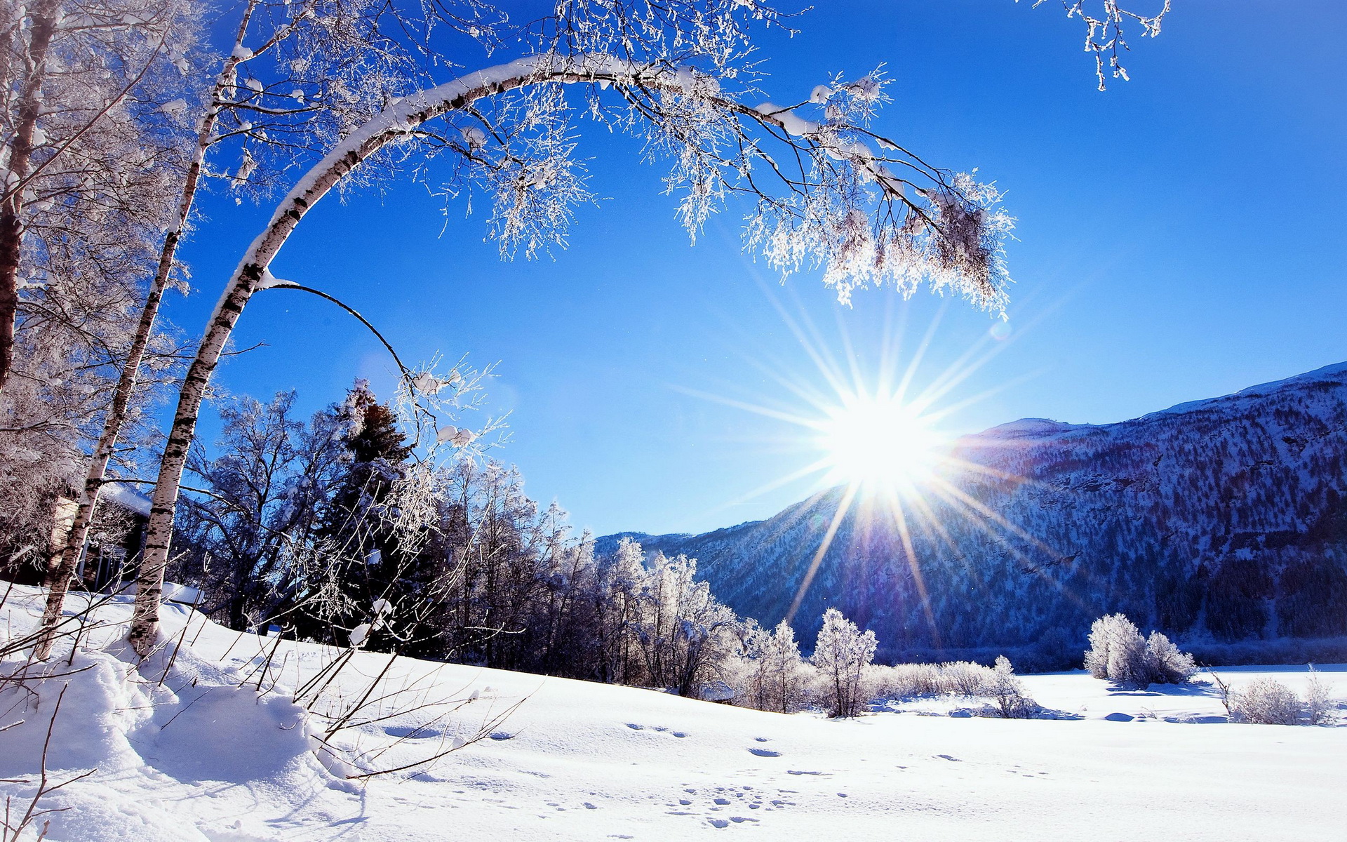 Free download wallpaper Winter, Earth on your PC desktop