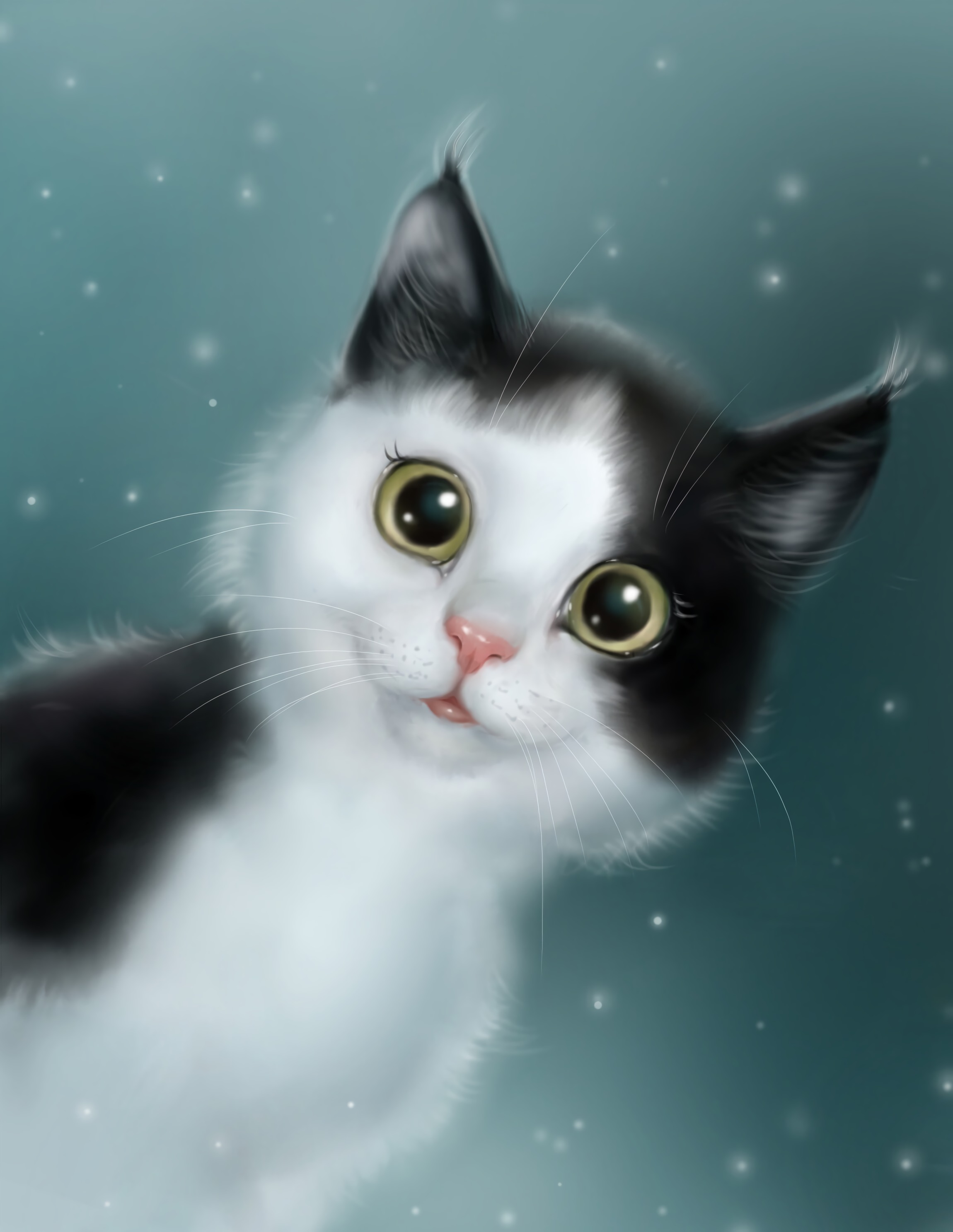 Best Mobile Cat Backgrounds