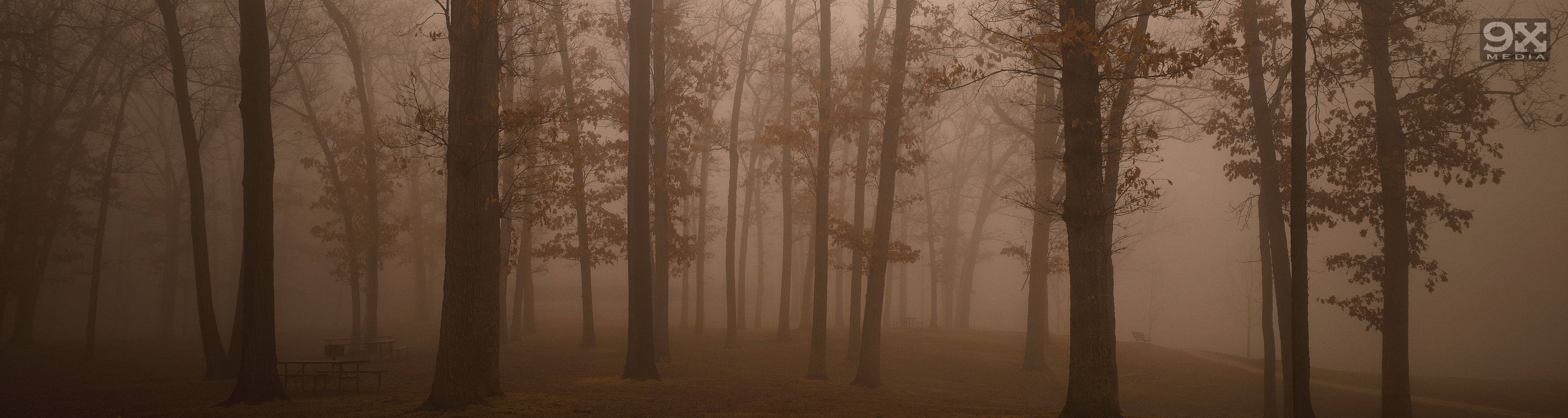 Free download wallpaper Fog, Earth on your PC desktop