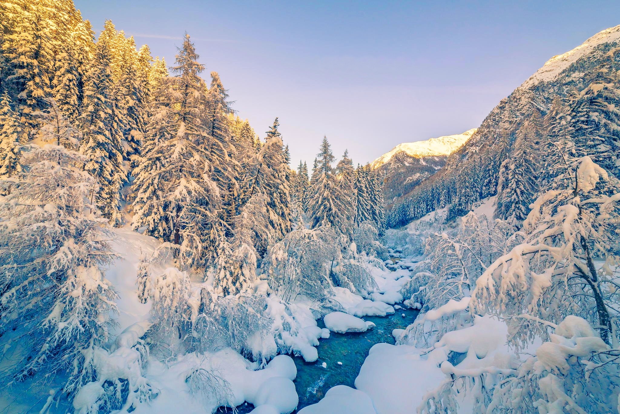 Laden Sie das Winter, Schnee, Wald, Baum, Fluss, Erde/natur-Bild kostenlos auf Ihren PC-Desktop herunter