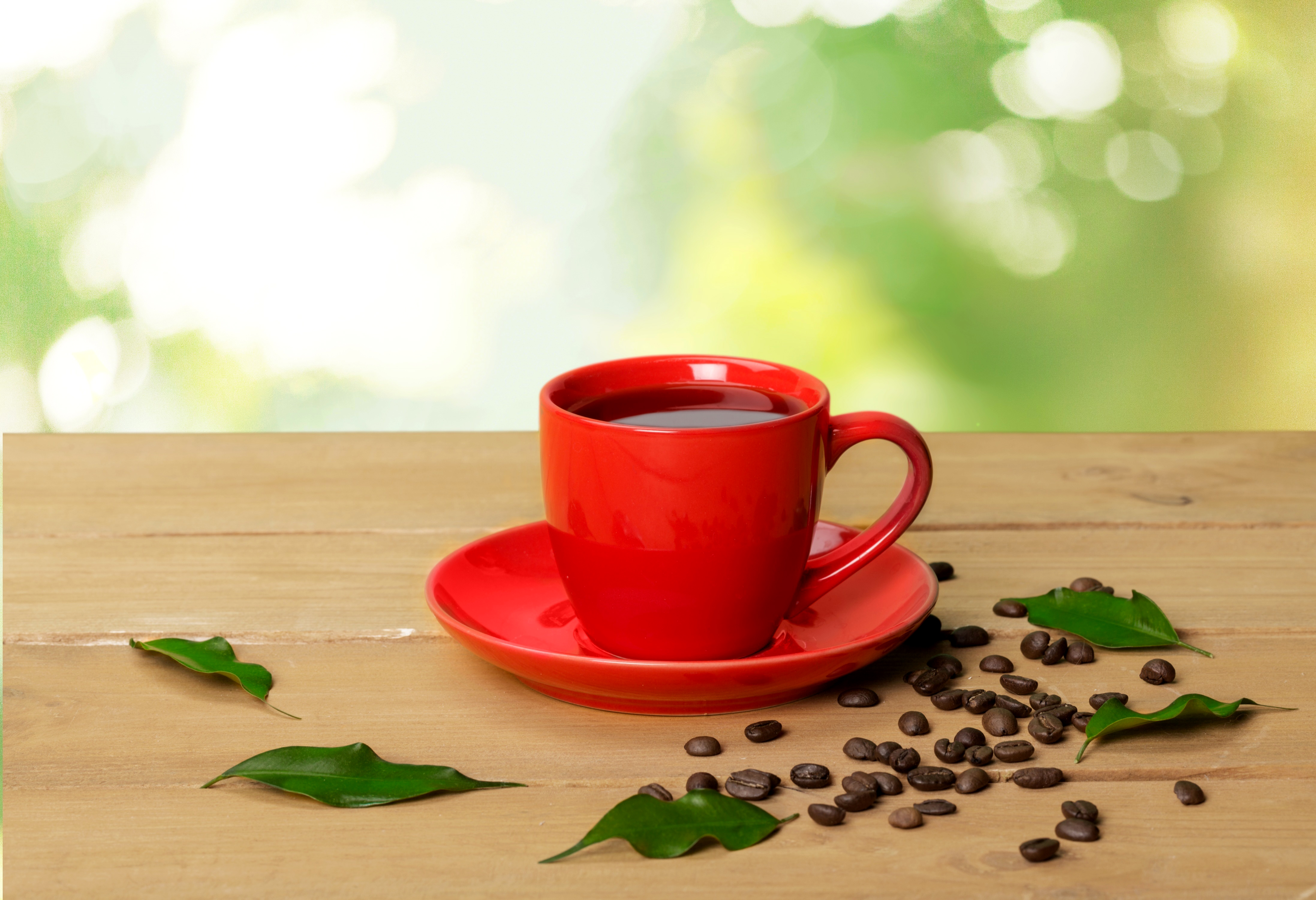 Free download wallpaper Food, Coffee, Cup, Bokeh, Coffee Beans on your PC desktop