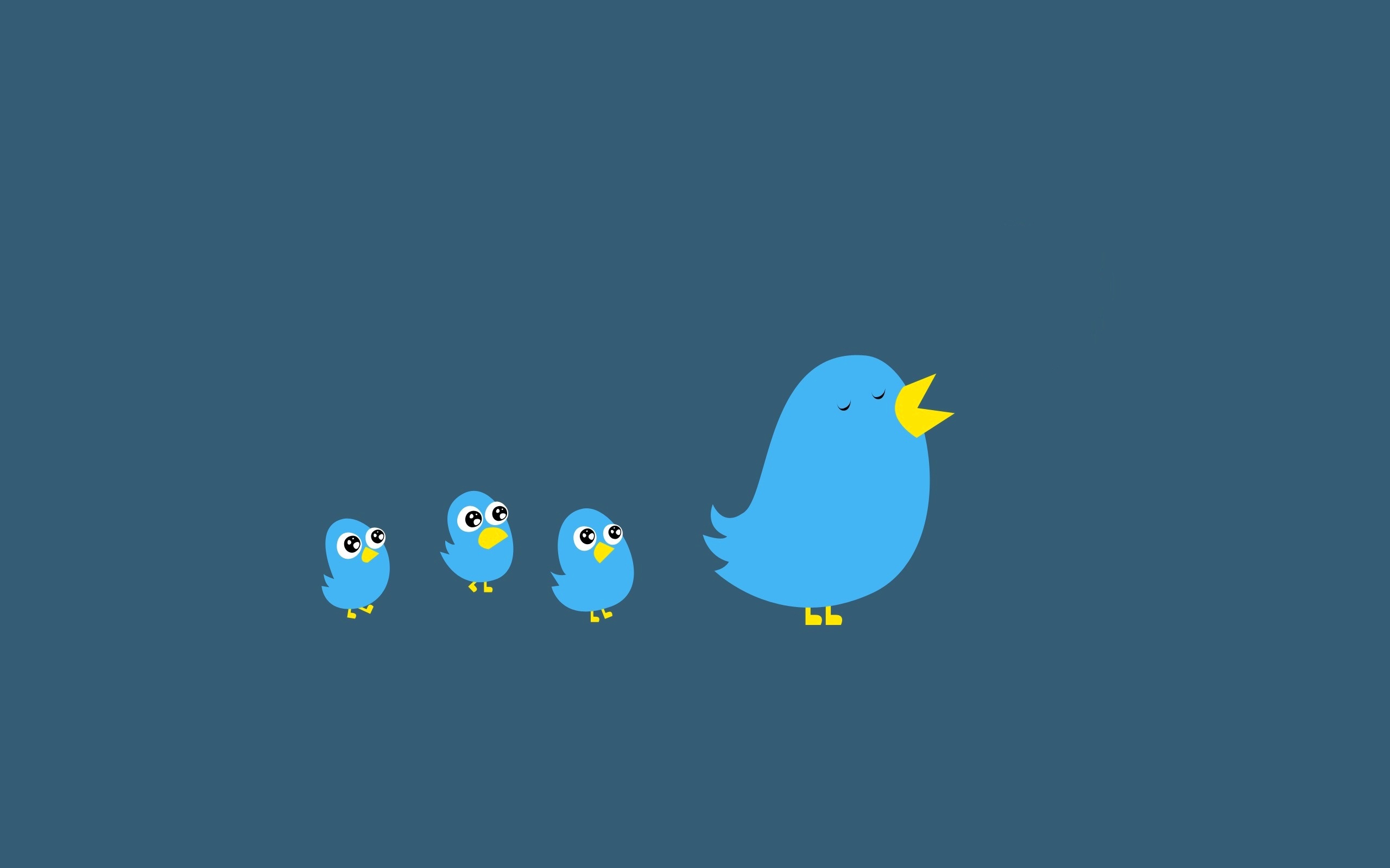 technology, twitter, bird