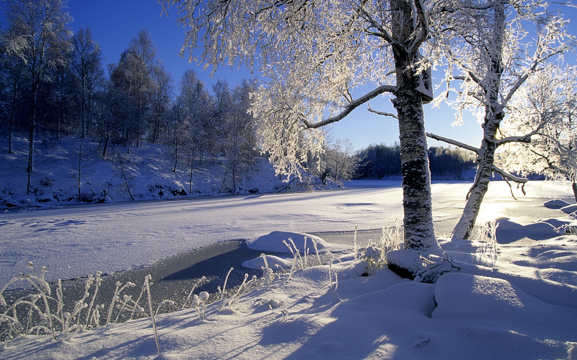 Завантажити шпалери безкоштовно Пейзаж, Зима, Дерева, Сонце, Сніг картинка на робочий стіл ПК