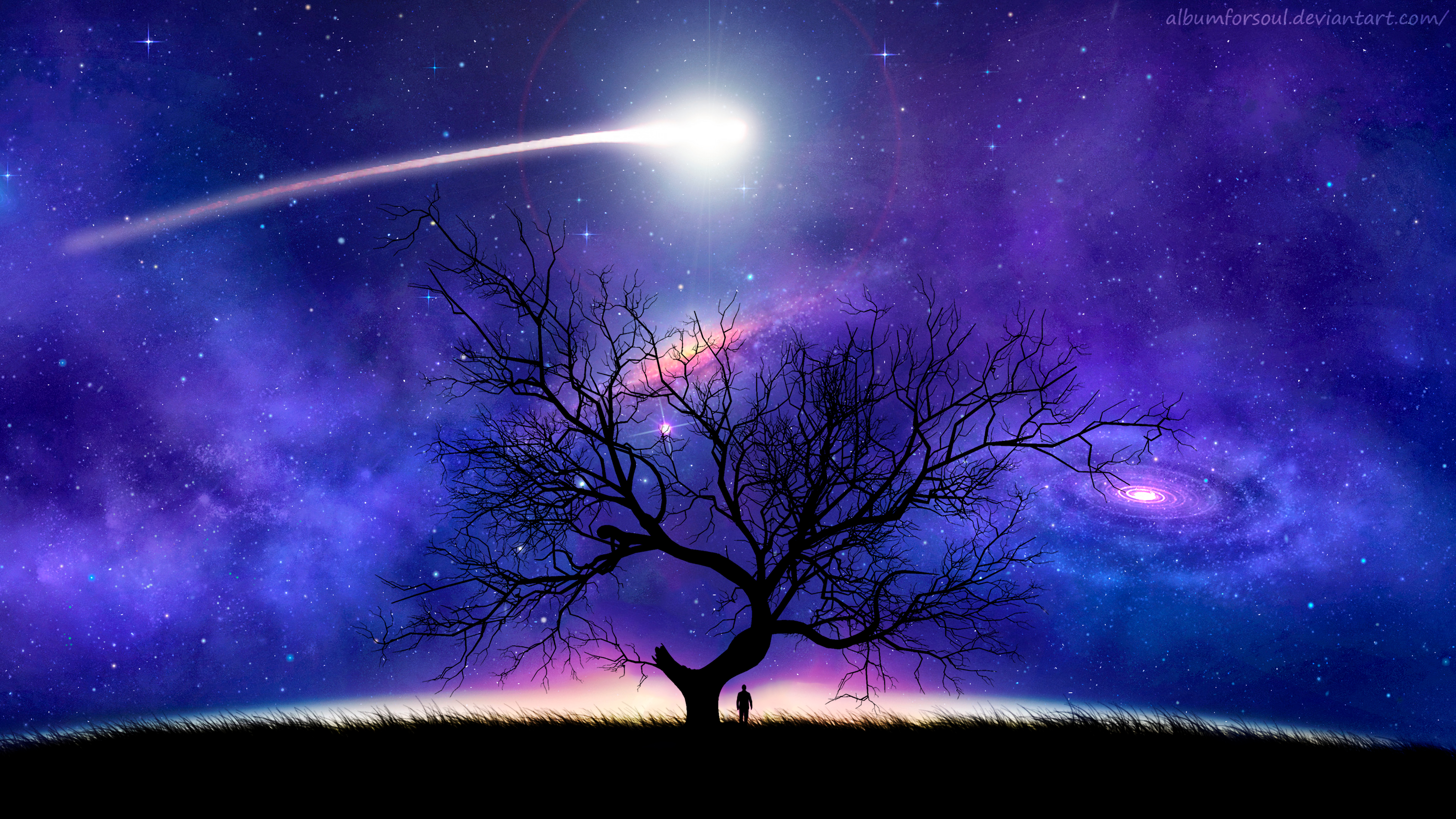 night, silhouette, comet, universe, art, tree, wood, starry sky HD wallpaper